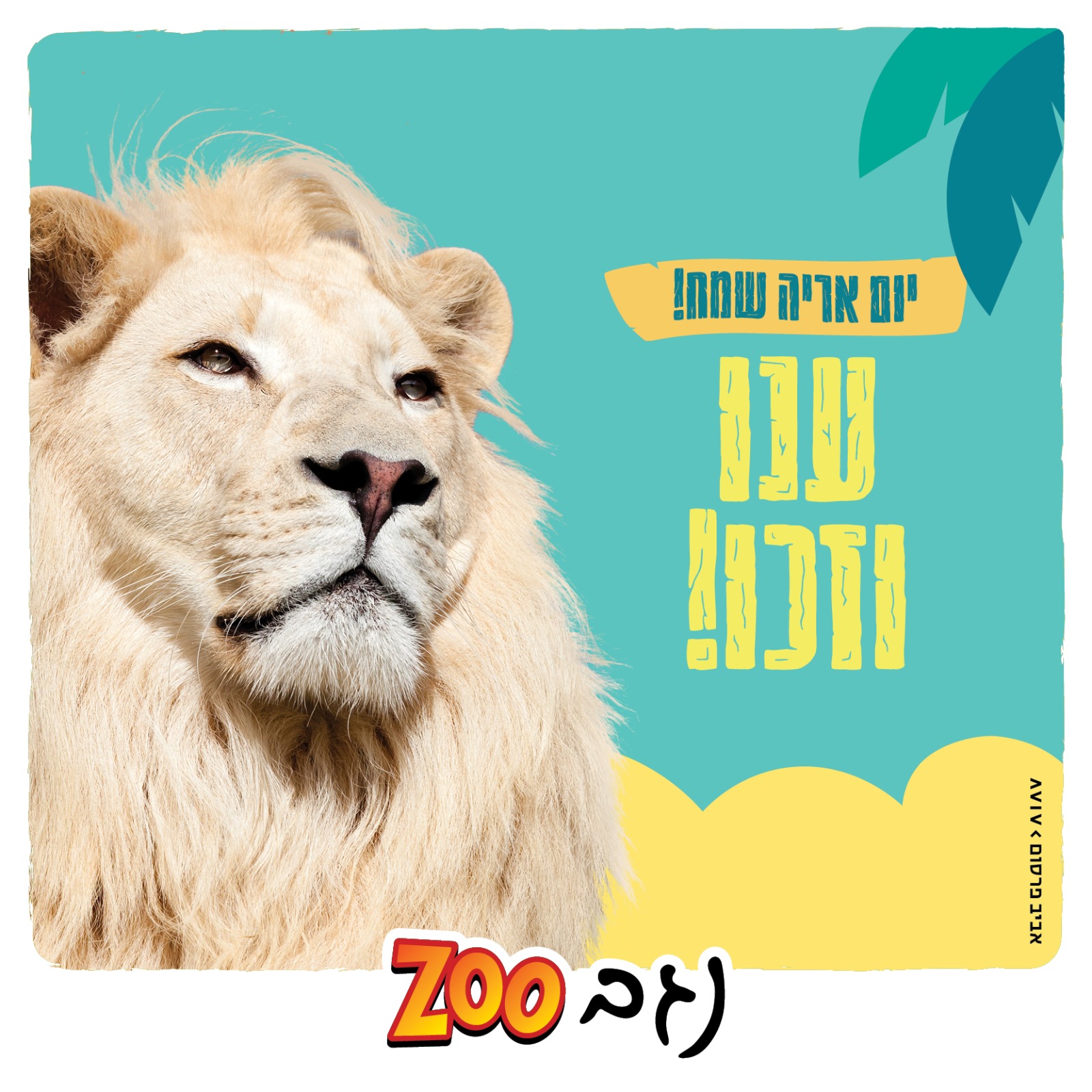 היום הוא... - מדבריום פארק החיות ע