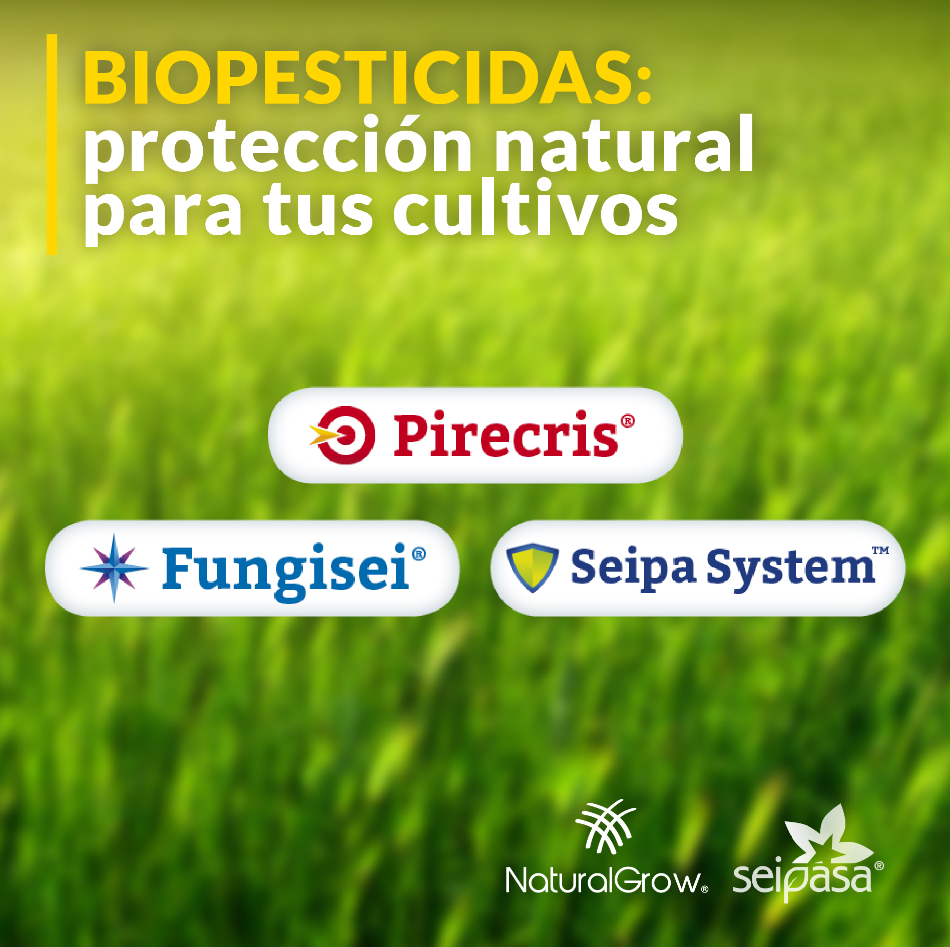 NaturalGrow - Los #Biospesticidas ayudan a mejorar la... | Facebook