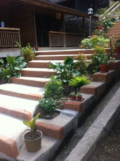 Spring Hill Hotel | Ruteng
