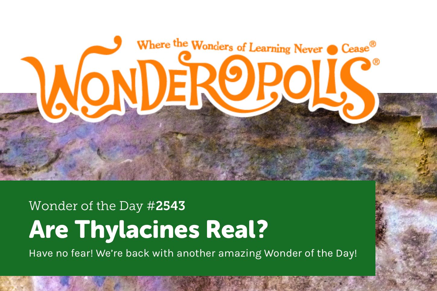 Wonderopolis