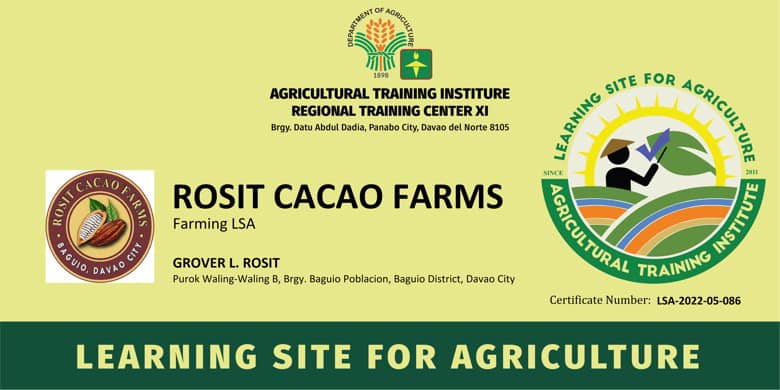 What... - Rosit Cacao Farms & Banana Tissue Culture Laboratory | Facebook