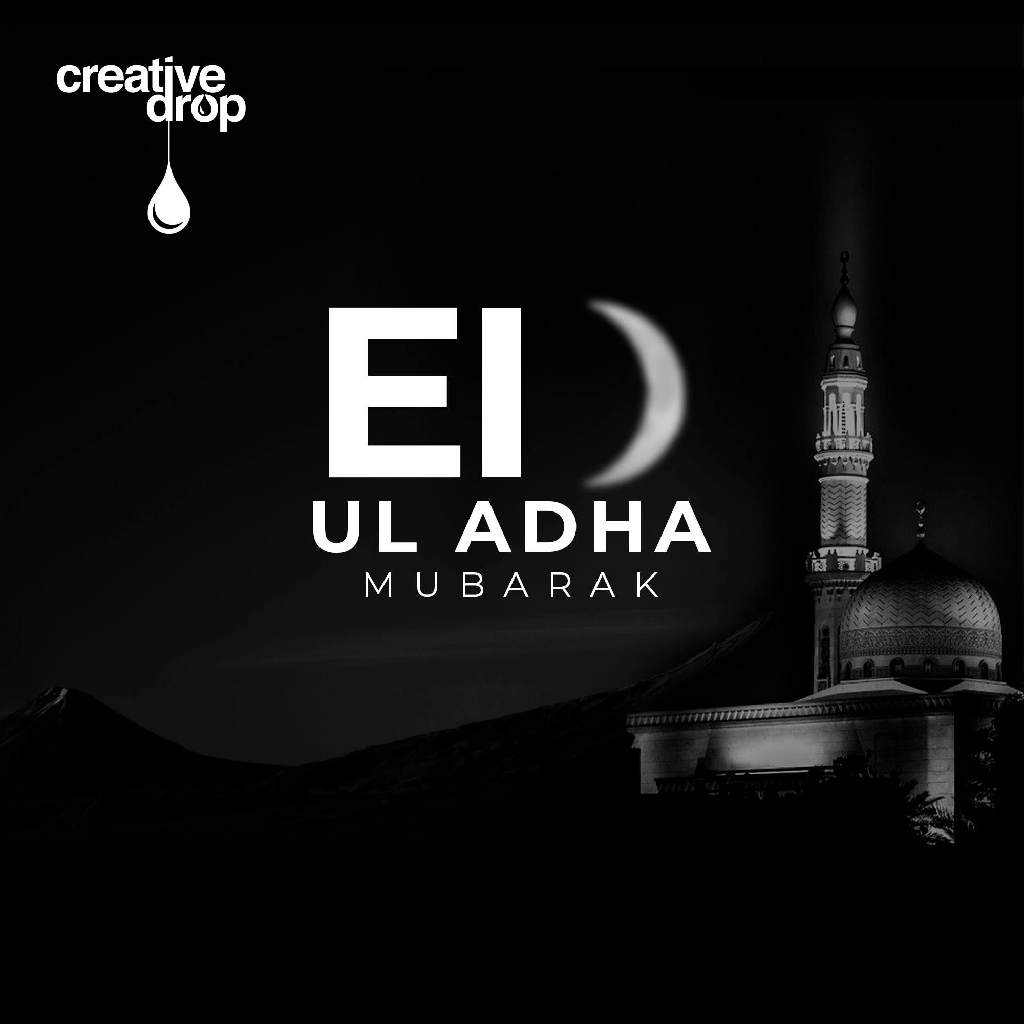 Creative Drop | Dubai