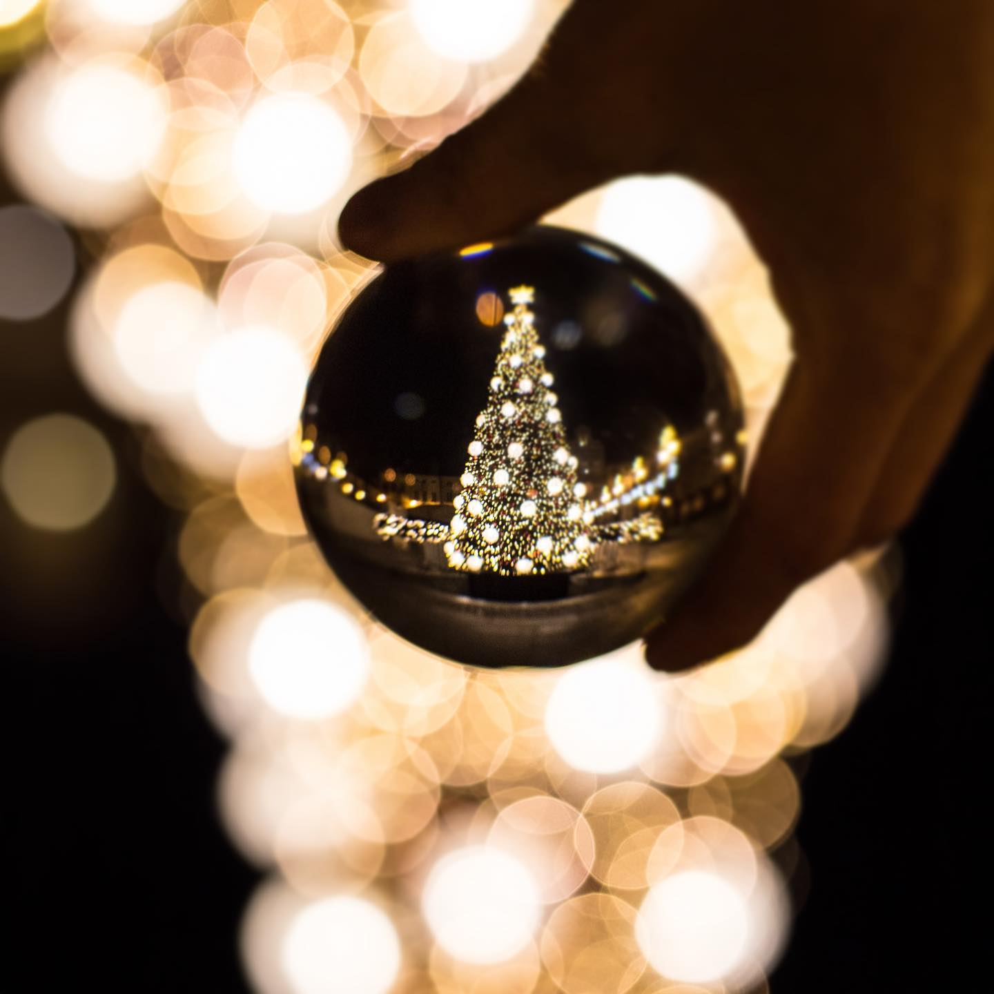 Ynot Goodbye Holiday Time Ynot 2020 Epifania Moment Inspiration Ynotfw1920 Facebook