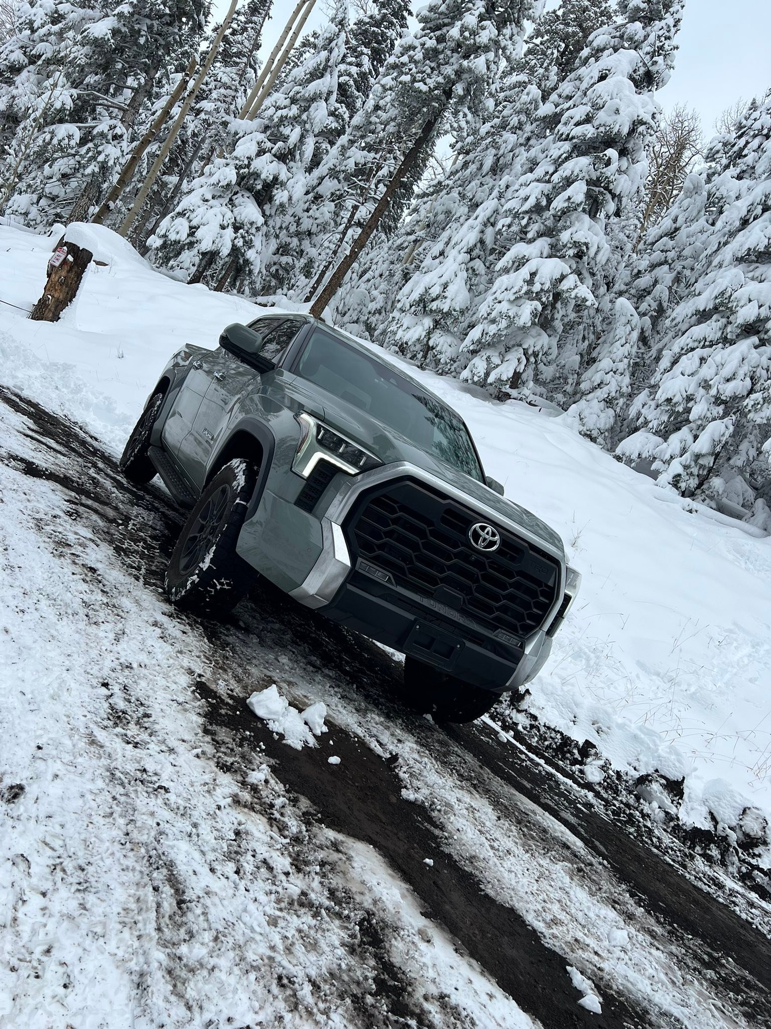 Best HD Pictures about  2023 Toyota Tundra Problems  - No AI Images