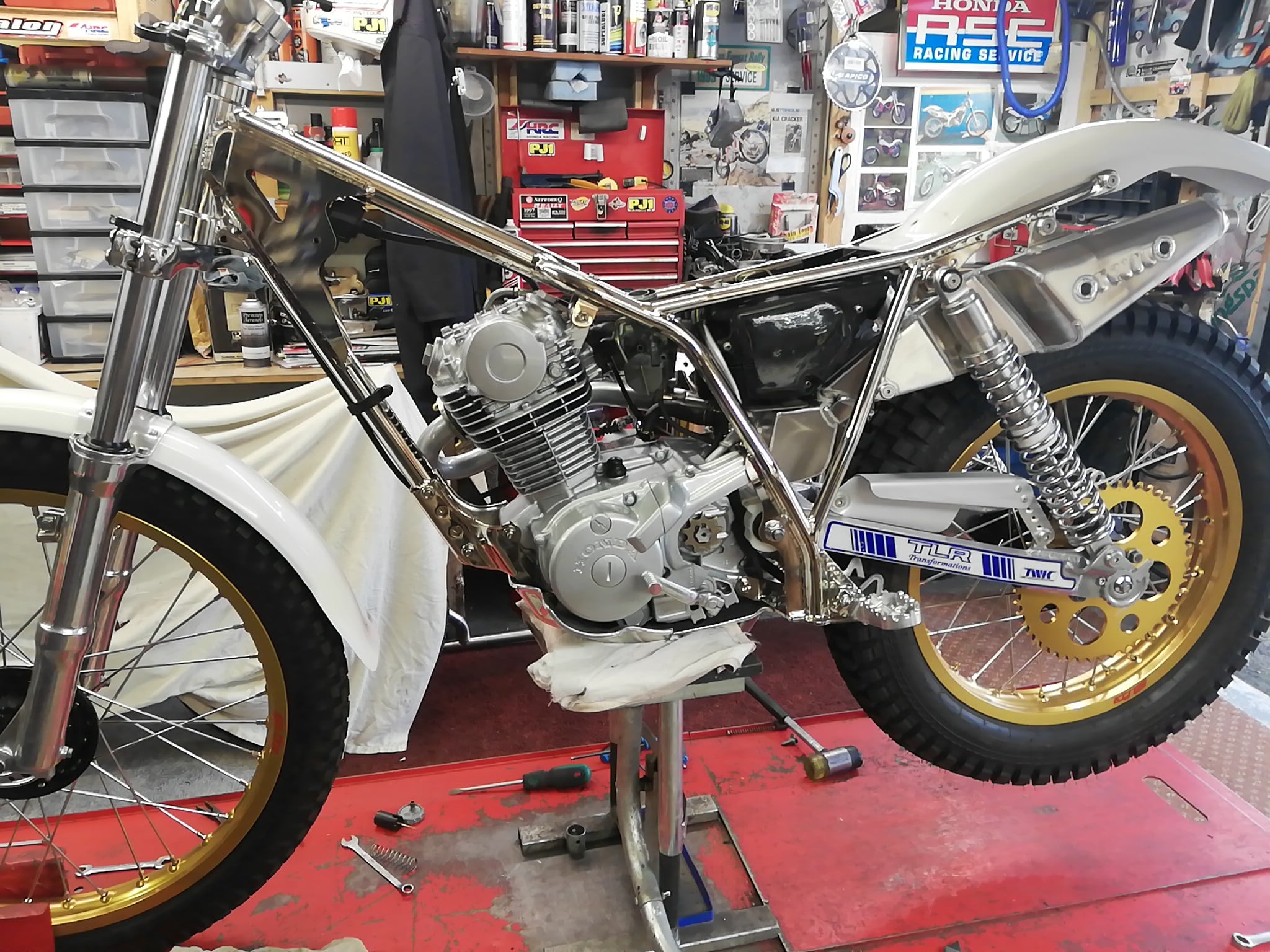 New TLRT frame to be shown at the... - TLR Transformations | Facebook