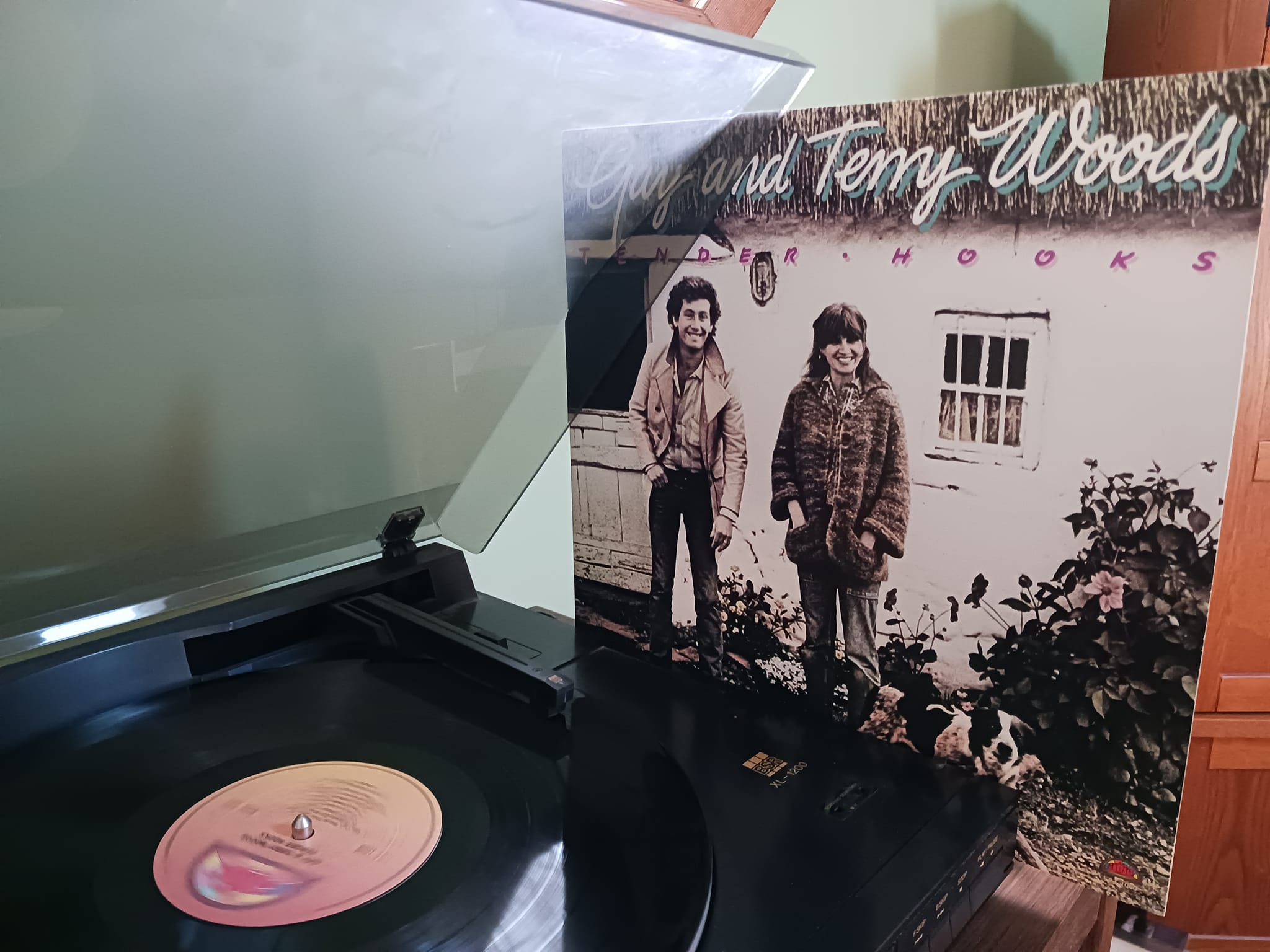 Gay and Terry Woods album Tender Hooks