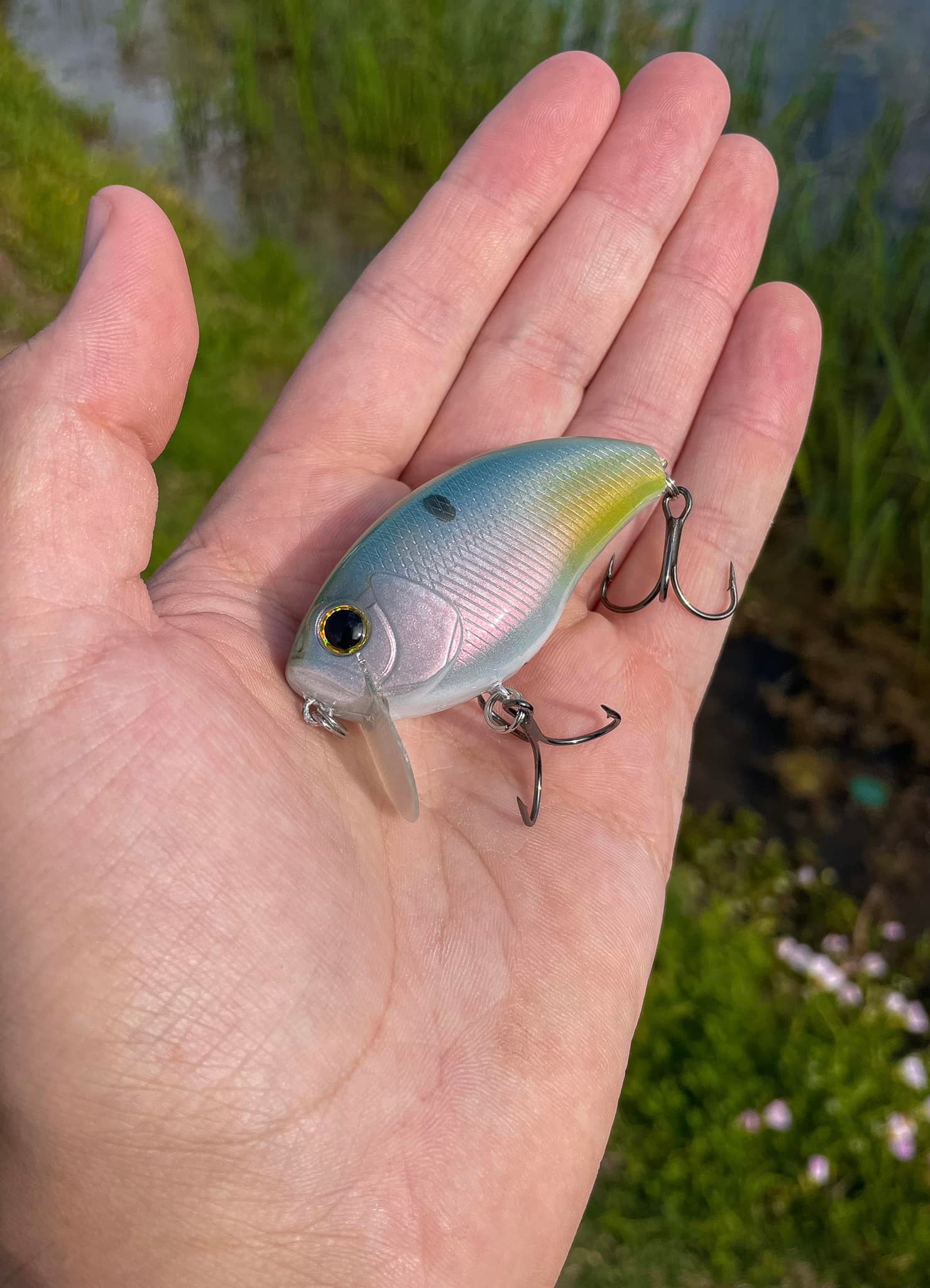 cotton candy fishing lure Trout Magnet 9 Piece Pack Color With Seven Bodies And Two Size Eight Hooks Plus One Sixty Fourth Ounce Shad Dart Head For Realistic 6 Rod and Reel Sage Spey Reels Collections and stable winding comfort Bundles:1.3m