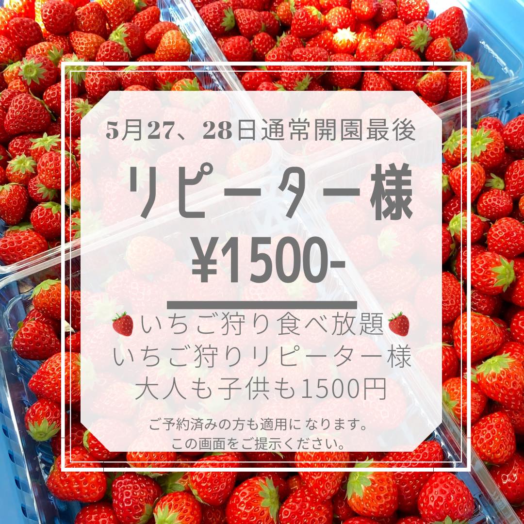 武笠 農園 いちご ハウス 料金