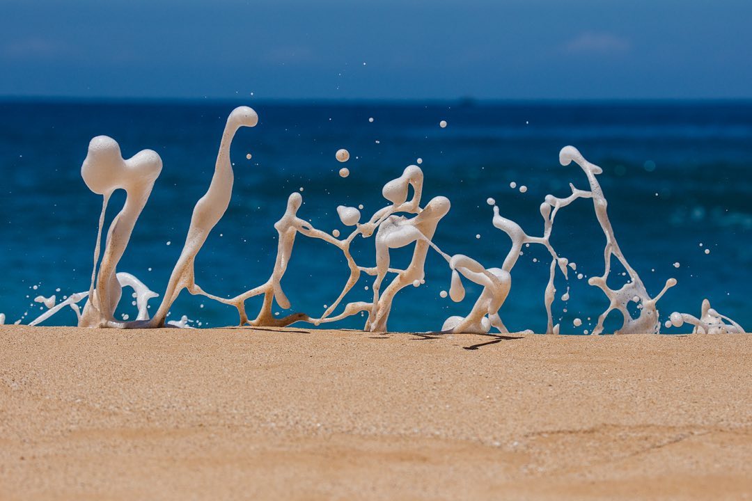 Cameron Nelson Fine Art & Photography