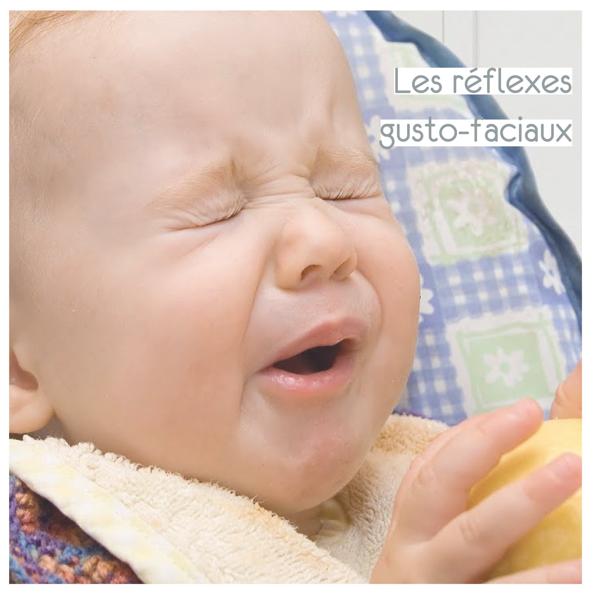 Ma Petite Assiette 𝗟𝗘𝗦 𝗥𝗘 𝗙𝗟𝗘𝗫𝗘𝗦 𝗚𝗨𝗦𝗧𝗢 𝗙𝗔𝗖𝗜𝗔𝗨𝗫 Vous L Avez Tous Vu Un Jour Cette Grimace Lorsque Bebe Goute Un Citron Ou Un Aliment Acide Saviez Vous Qu Il Existe 𝒖𝒏 𝒓𝒆 𝒇𝒍𝒆𝒙𝒆 𝒈𝒖𝒔𝒕𝒐 𝒇𝒂𝒄𝒊𝒂𝒍