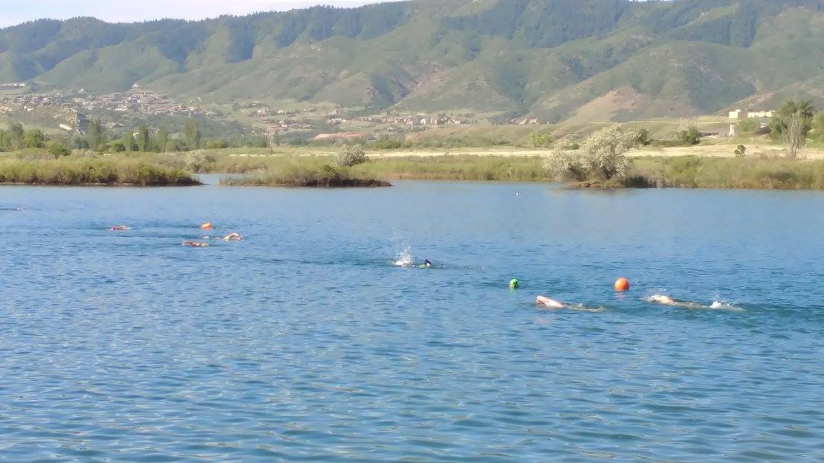 Chatfield Gravel Pond Swimmers
