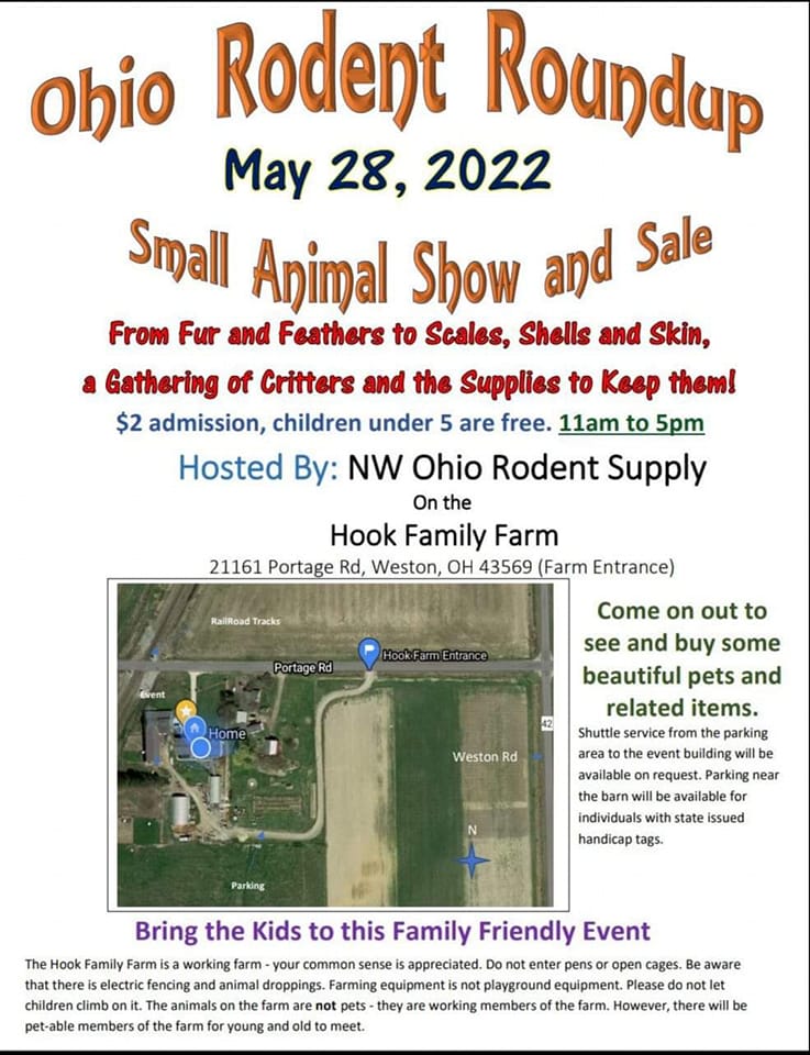 Rat Tales Toledo and Exotics
