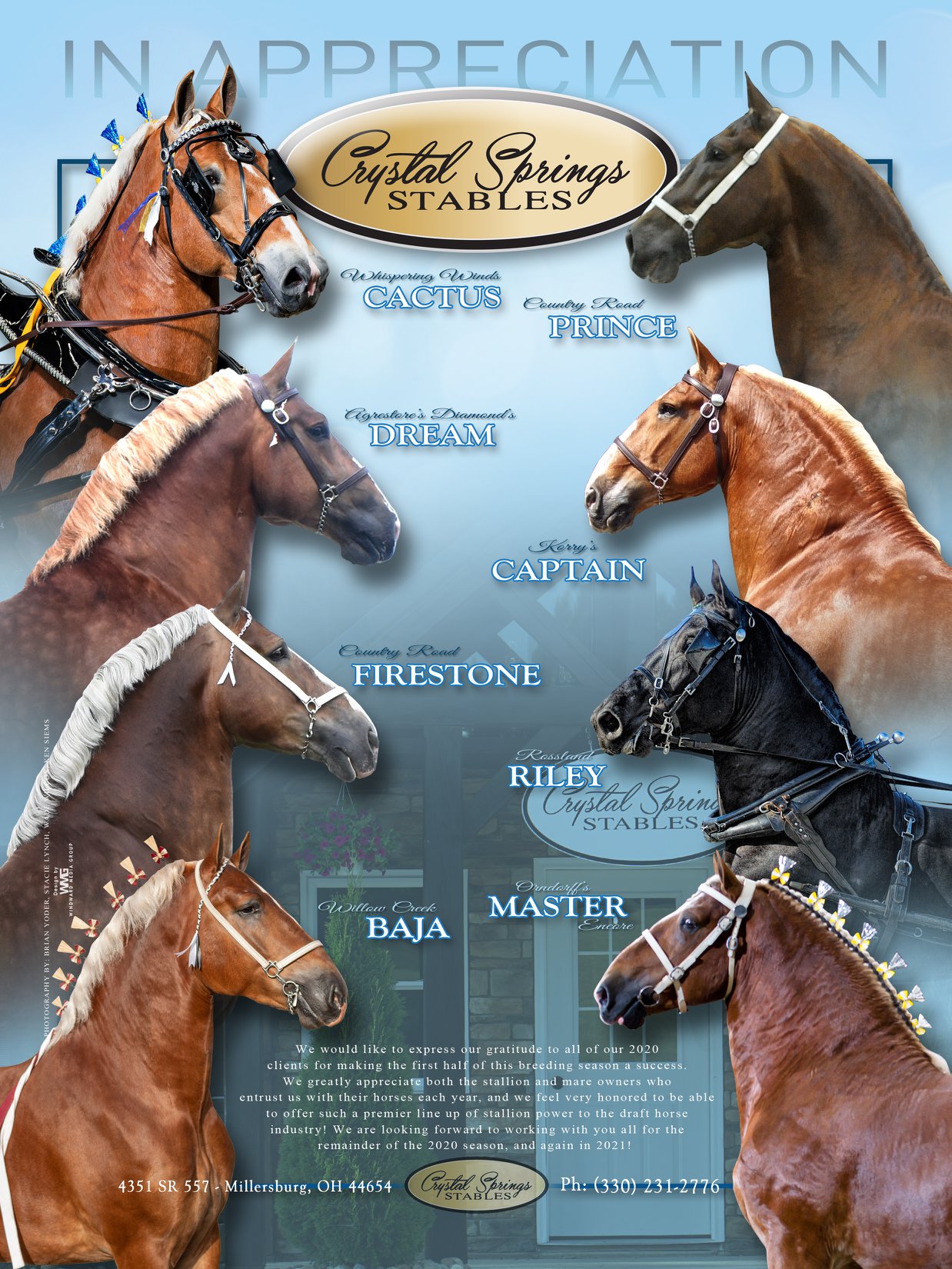 Windward - Crystal Springs Stables has established itself as one of the ...