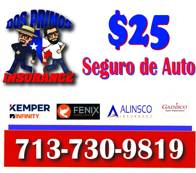 Dos Primos Insurance