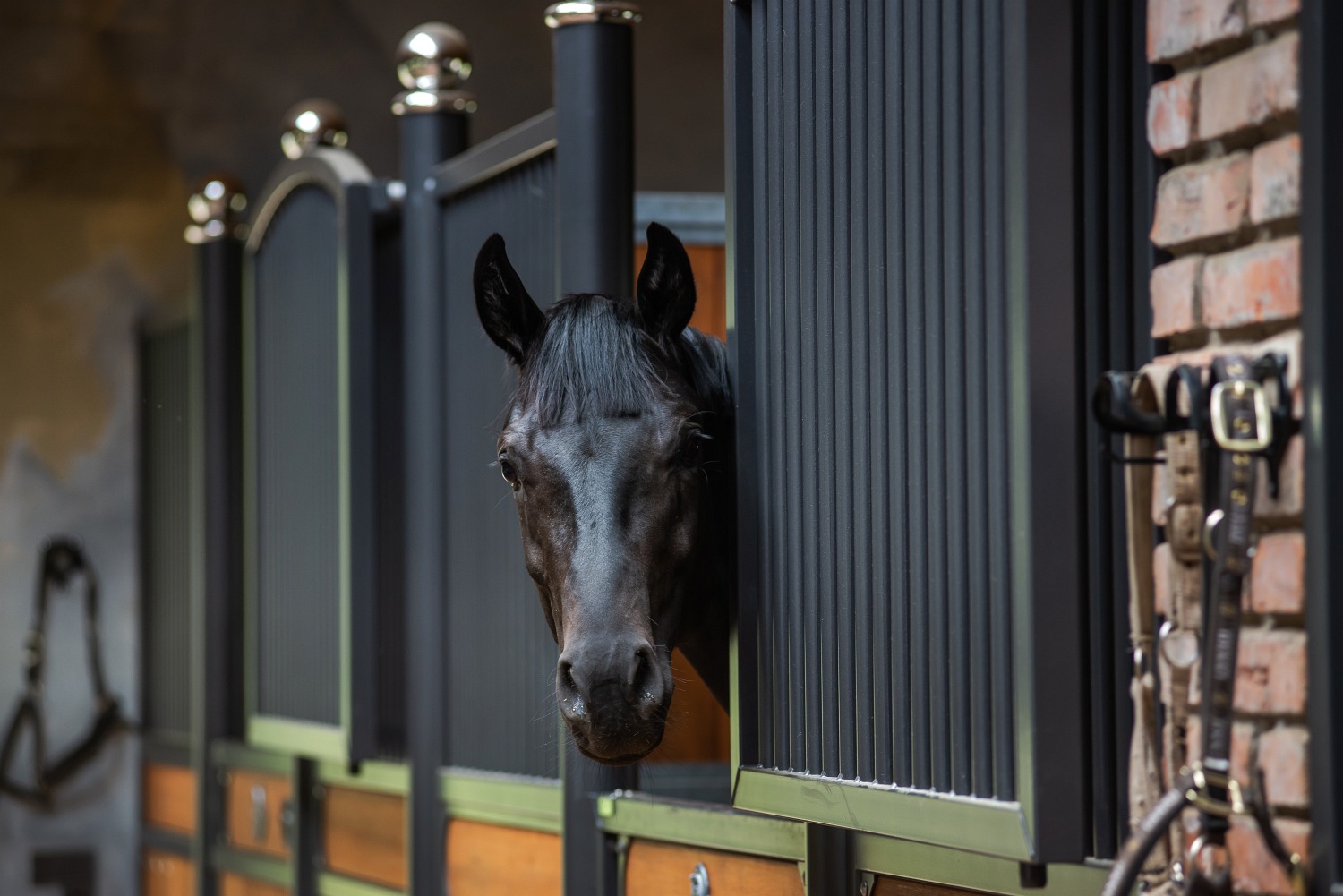 Black Horse stables Home Facebook