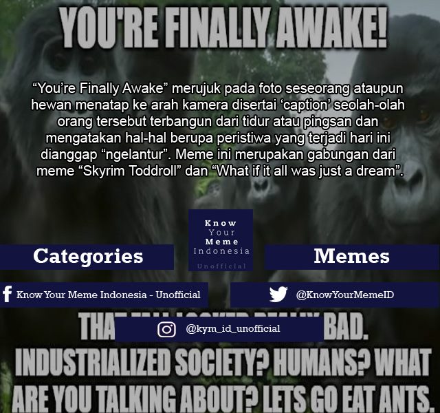 Know - Source: https://knowyourmeme.com/memes/youre-finally-awake ...