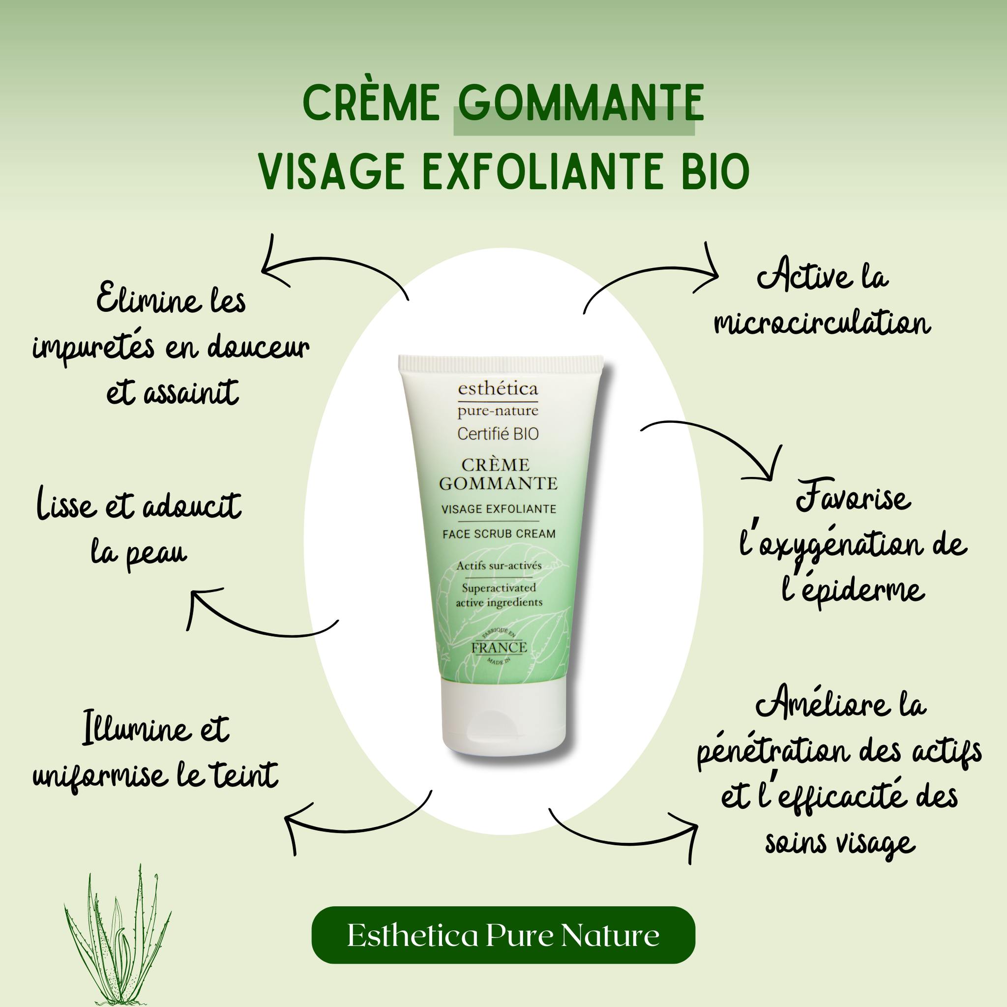 Crème Gommante Visage Esthetica - Exfoliant 50 Ml Sans Emballage Neuf