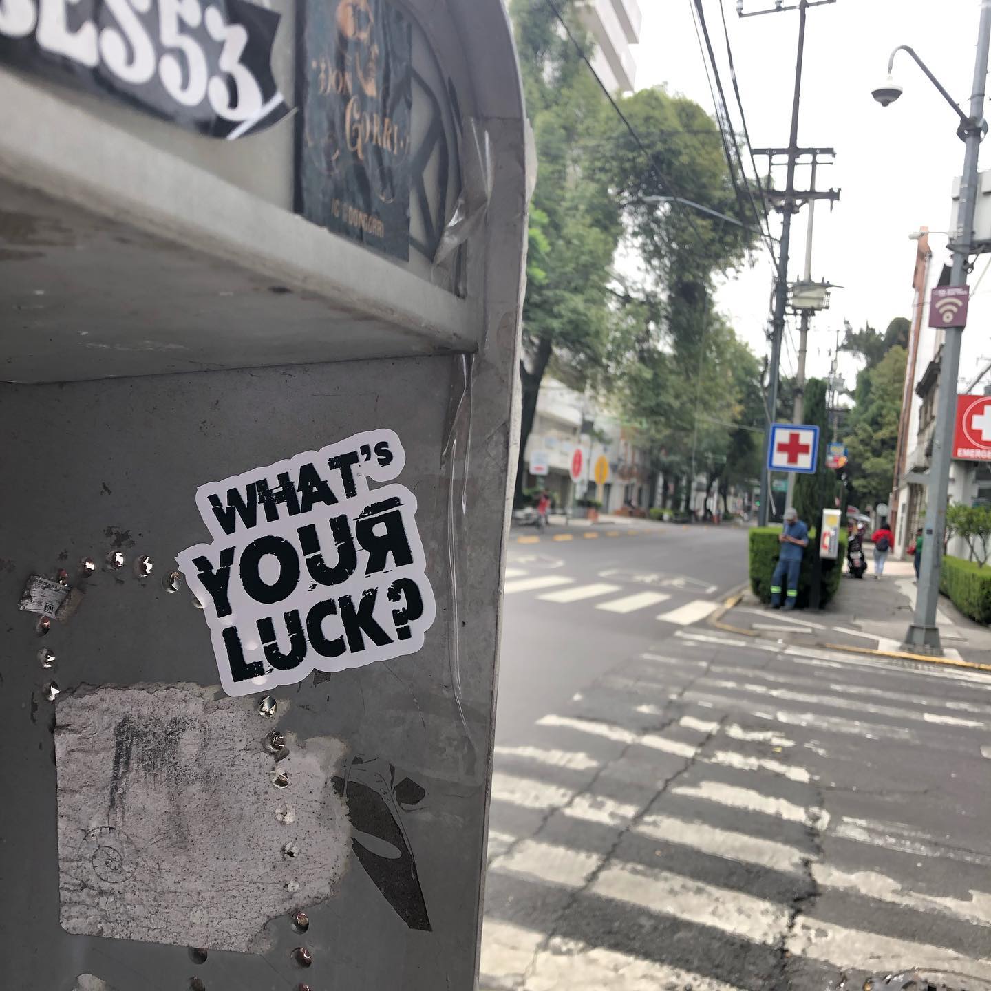 Lucky Homeless