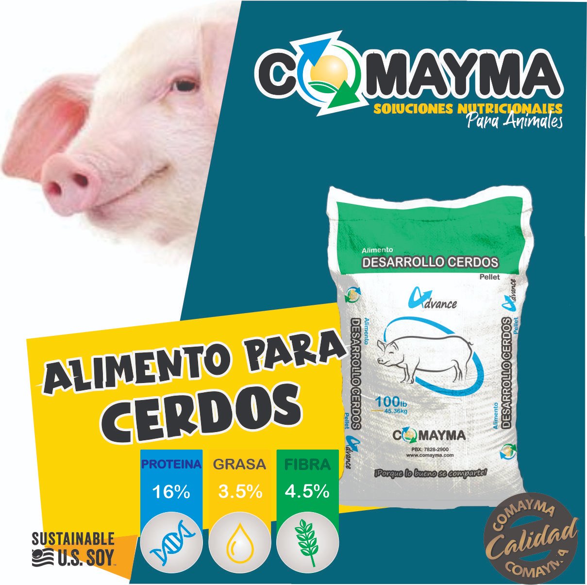Alimento para cerdos... - Cooperativa Madre y Maestra R.L.