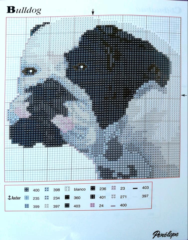 Kit De Punto De Cruz Preimpreso - Bulldog Francés Con Lona 11CT, Hilo De Algodón, Ideal Para Principiantes | Regalo Creativo Para Aficionados Al Bordado