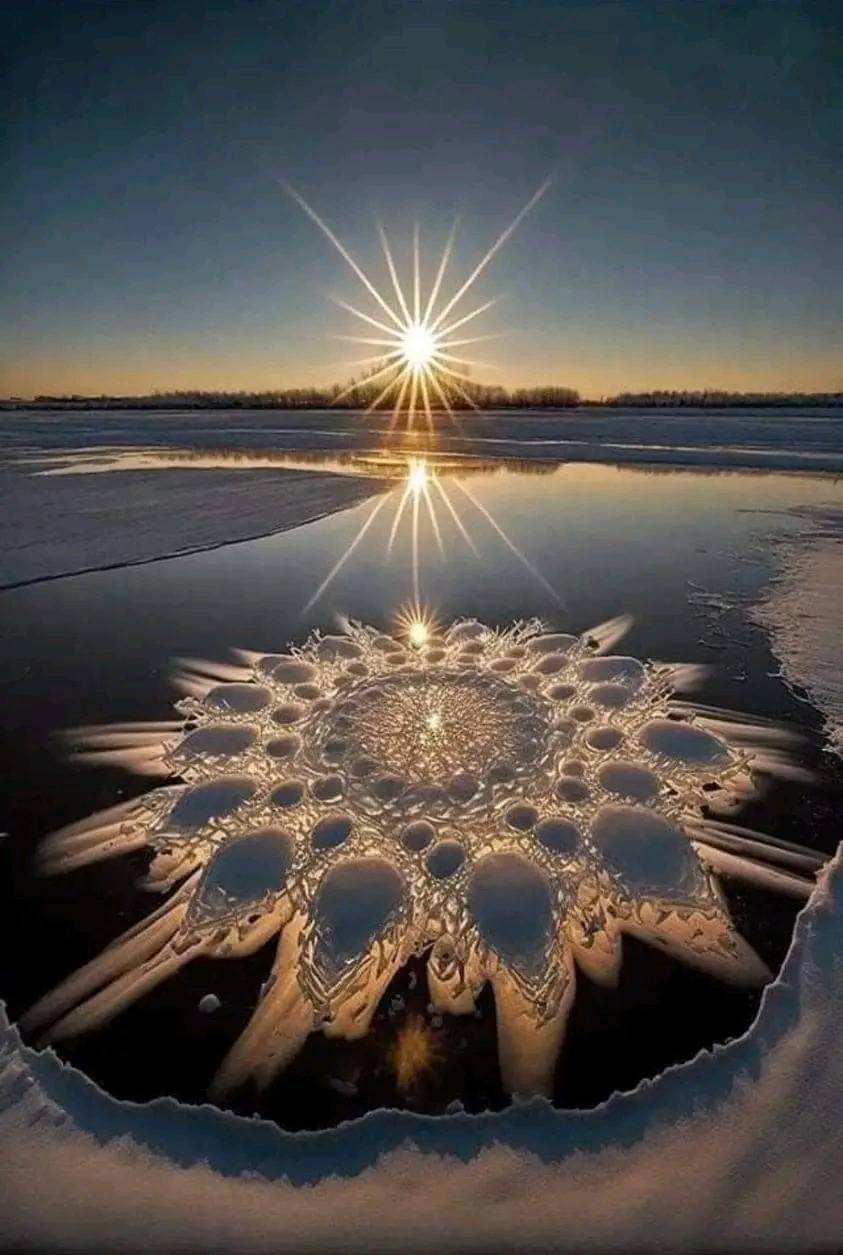 Extremely rare Ice flower spotted on Songhua River in northeast