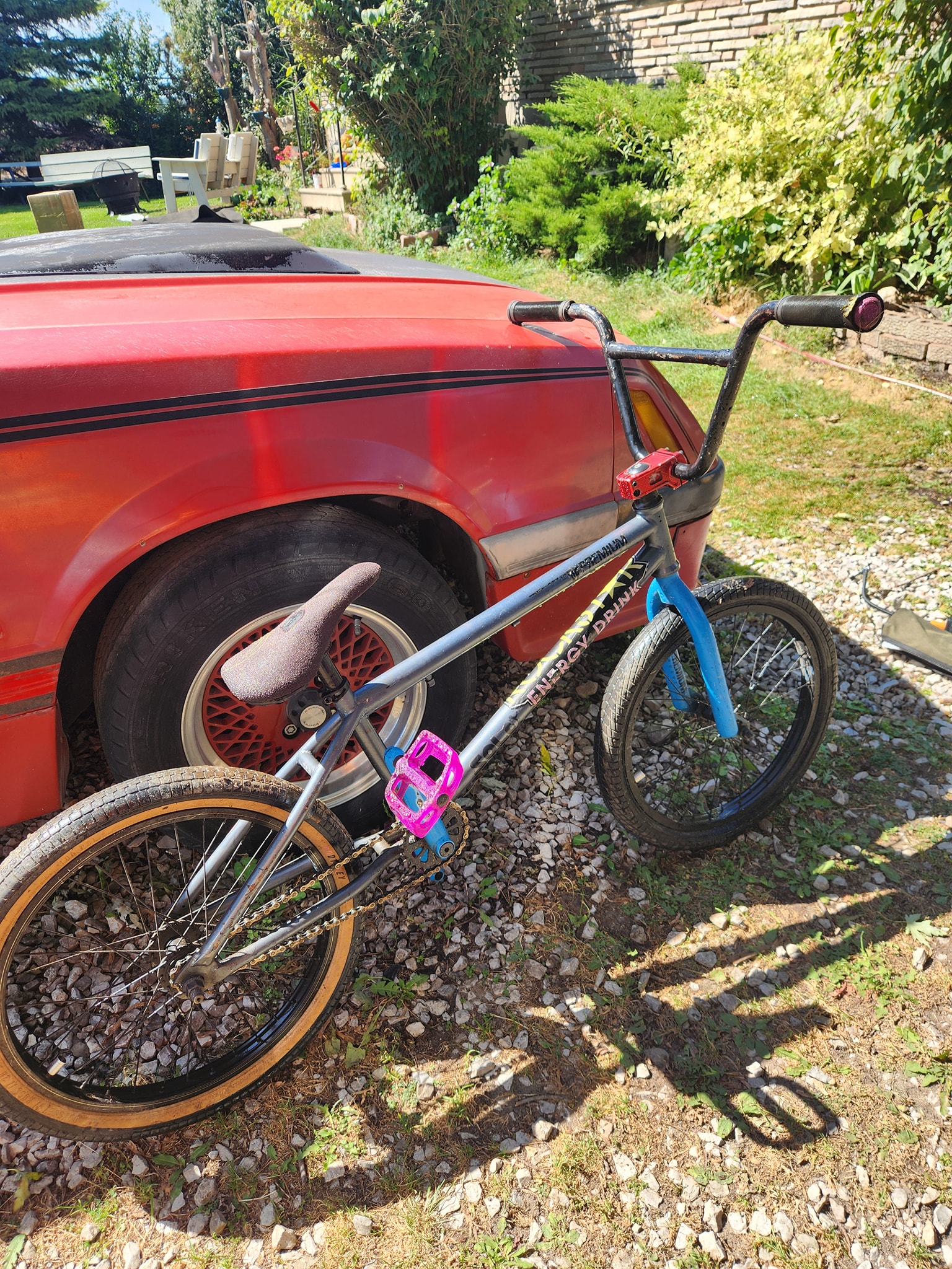 Restored premium Solo BMX bike with We The People and Animal parts