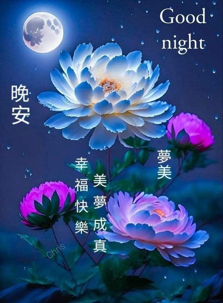 愛分享夢幻世界美圖不限制 | # **夜安-平安-舒眠 | Facebook