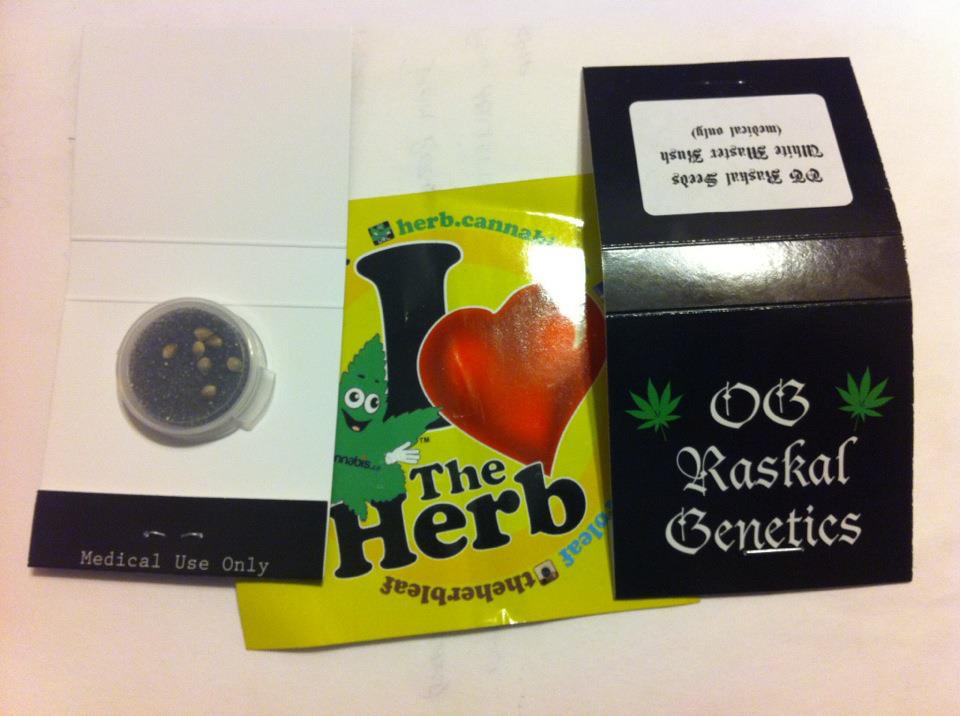 OG Raskal Genetics