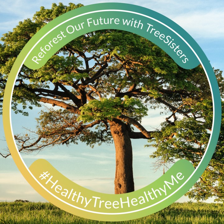 TreeSisters - Take a look at our brand new TreeSisters... | Facebook