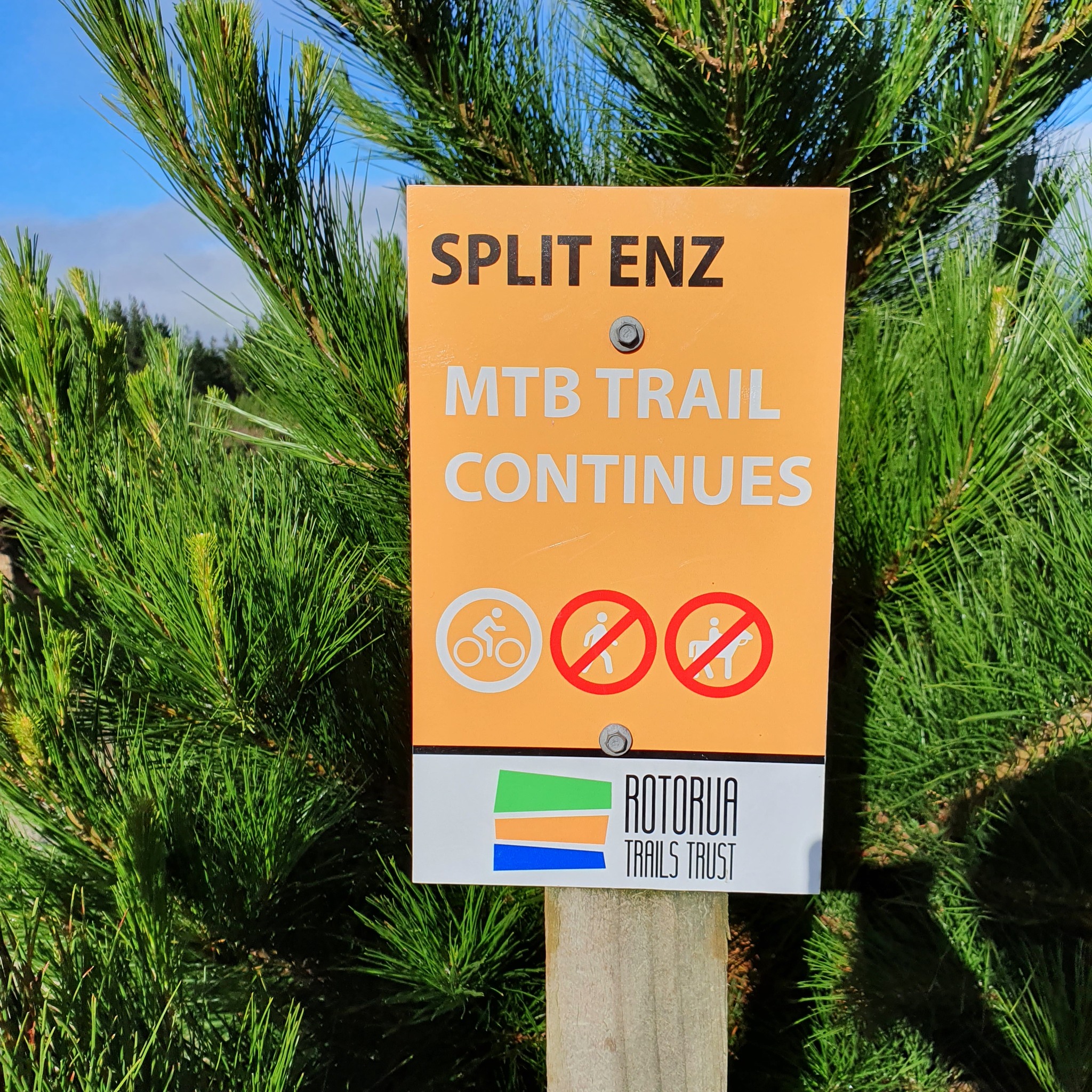 Friday’s Featured Trail - Split... - Rotorua Trails Trust | Facebook