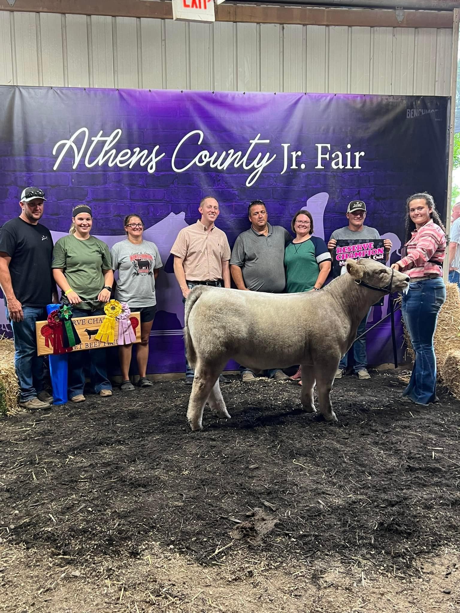 Joe Lucas Family Show Cattle | Amesville OH