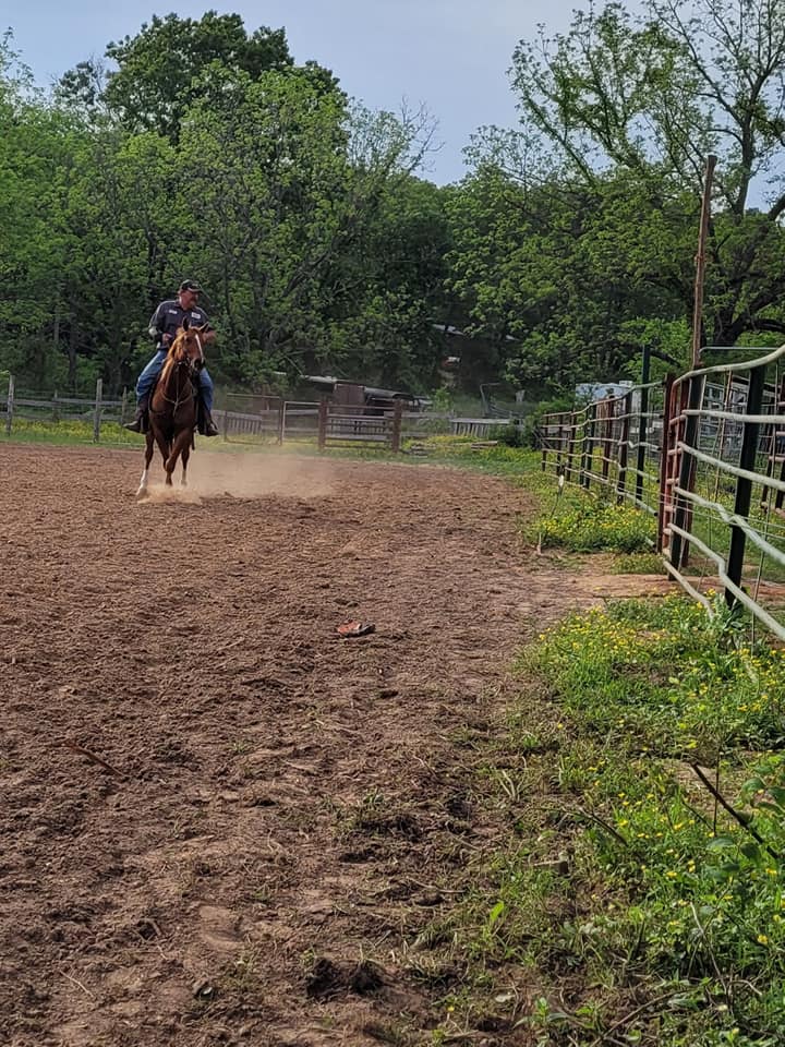 Double R W Ranch | Birch Tree MO