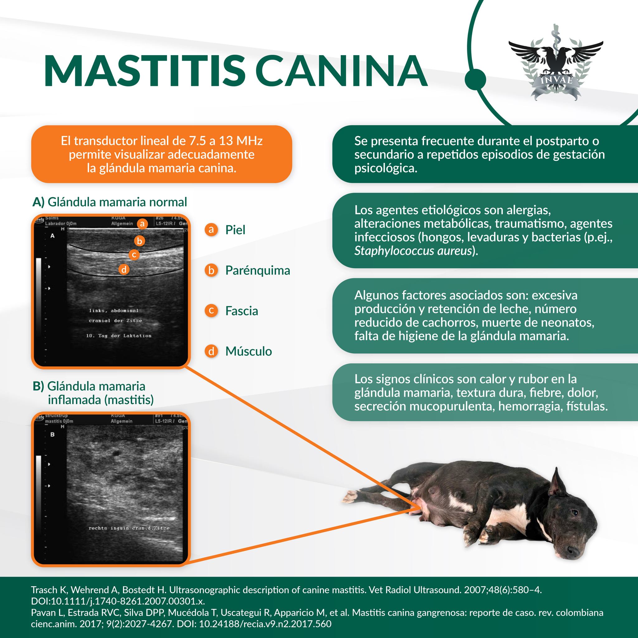 INVAE - Las mastitis es una enfermedad infecciosa e inflamatoria de la ...