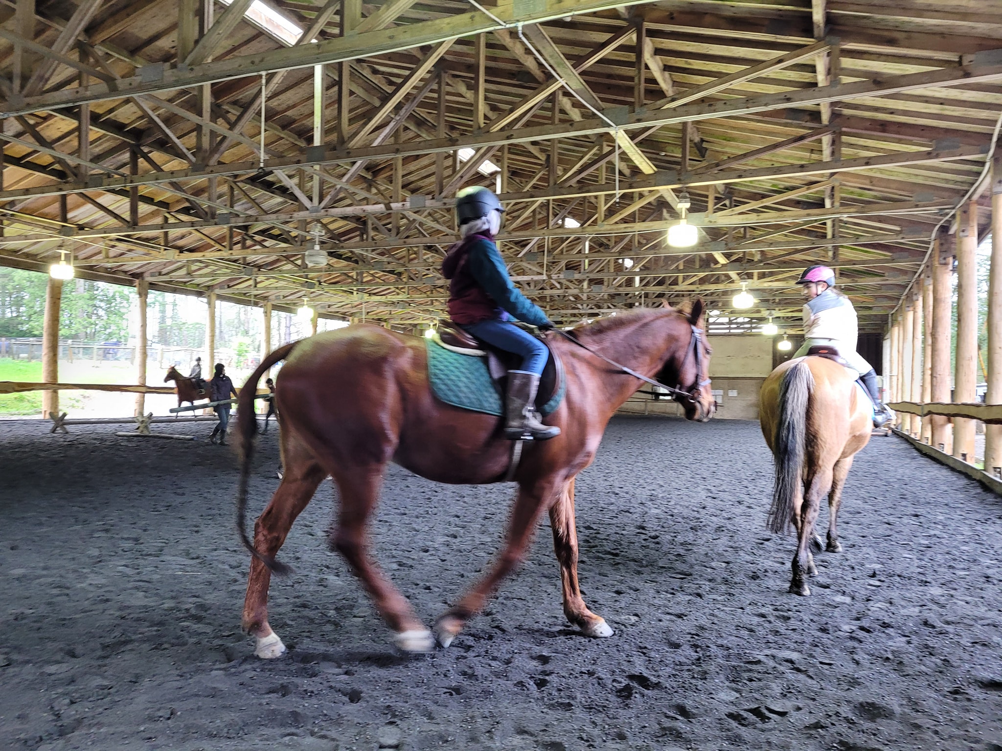 Grand Farms Riding Academy... - Grand Farms Riding Academy