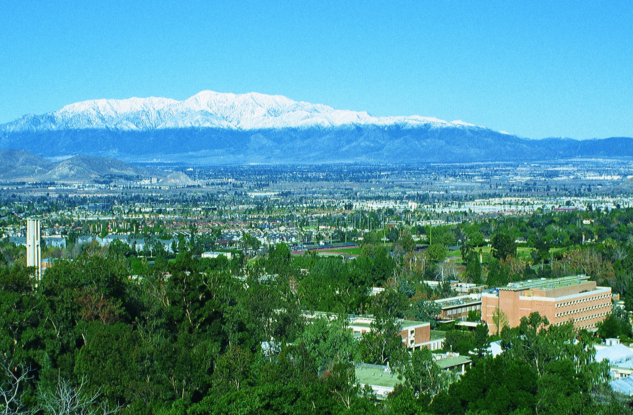 Cell Molecular Developmental Biology Program at UCR