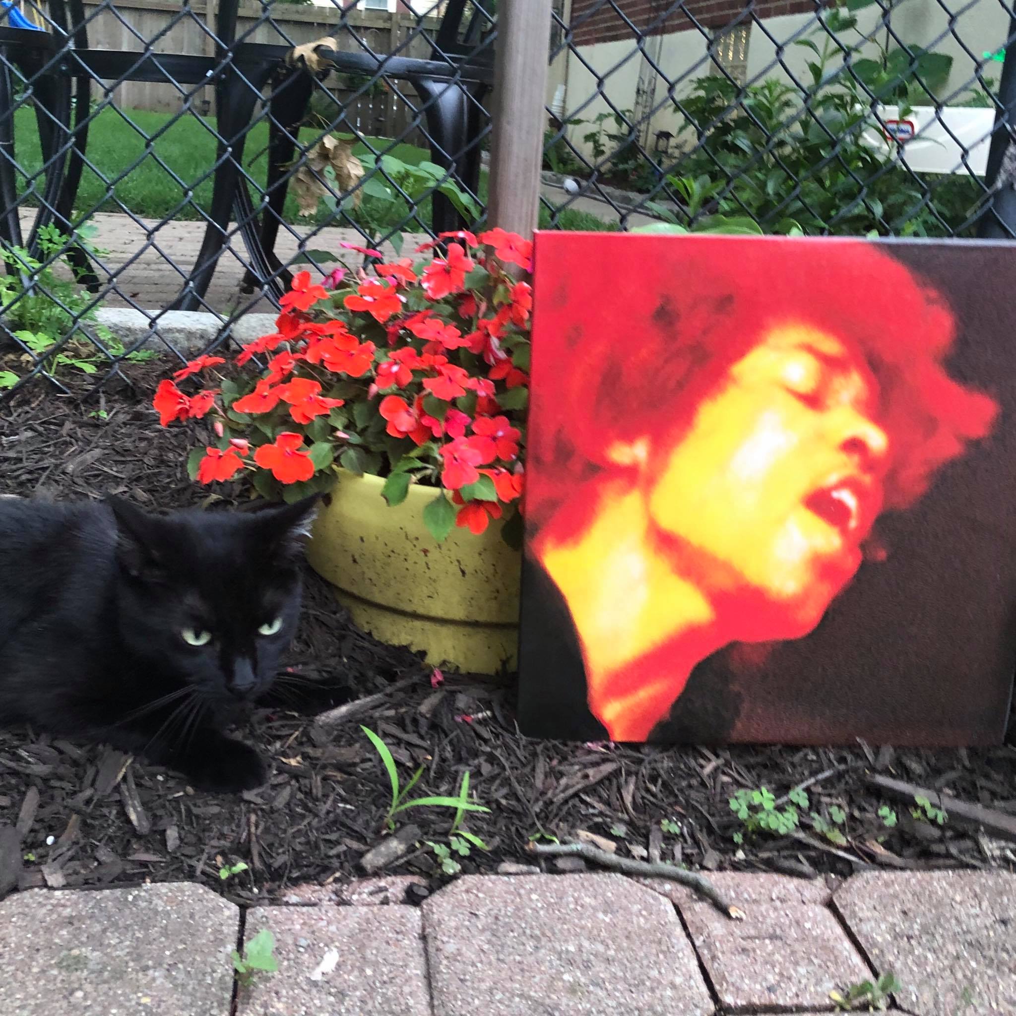 On September 13, 2011 the super deluxe 4CD/8LP box set THE JIMI