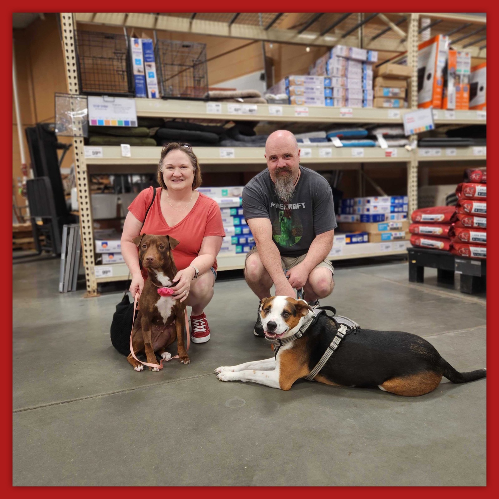 Pup - Happy Tails Coco Somewhat of a surprise adoption on Saturday from ...
