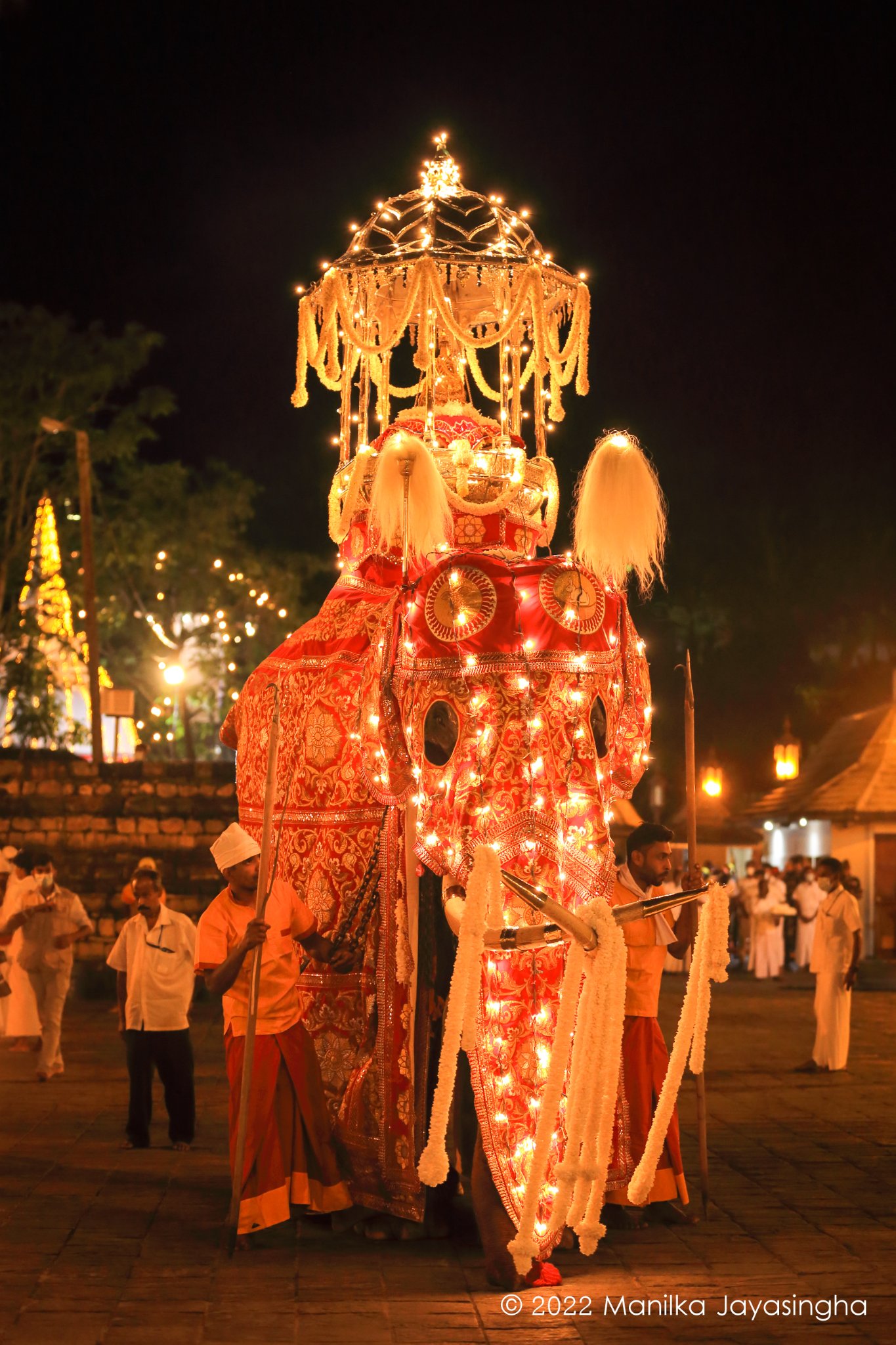 Tusker Indi Raja... - Manilka Jayasingha Photography | Facebook