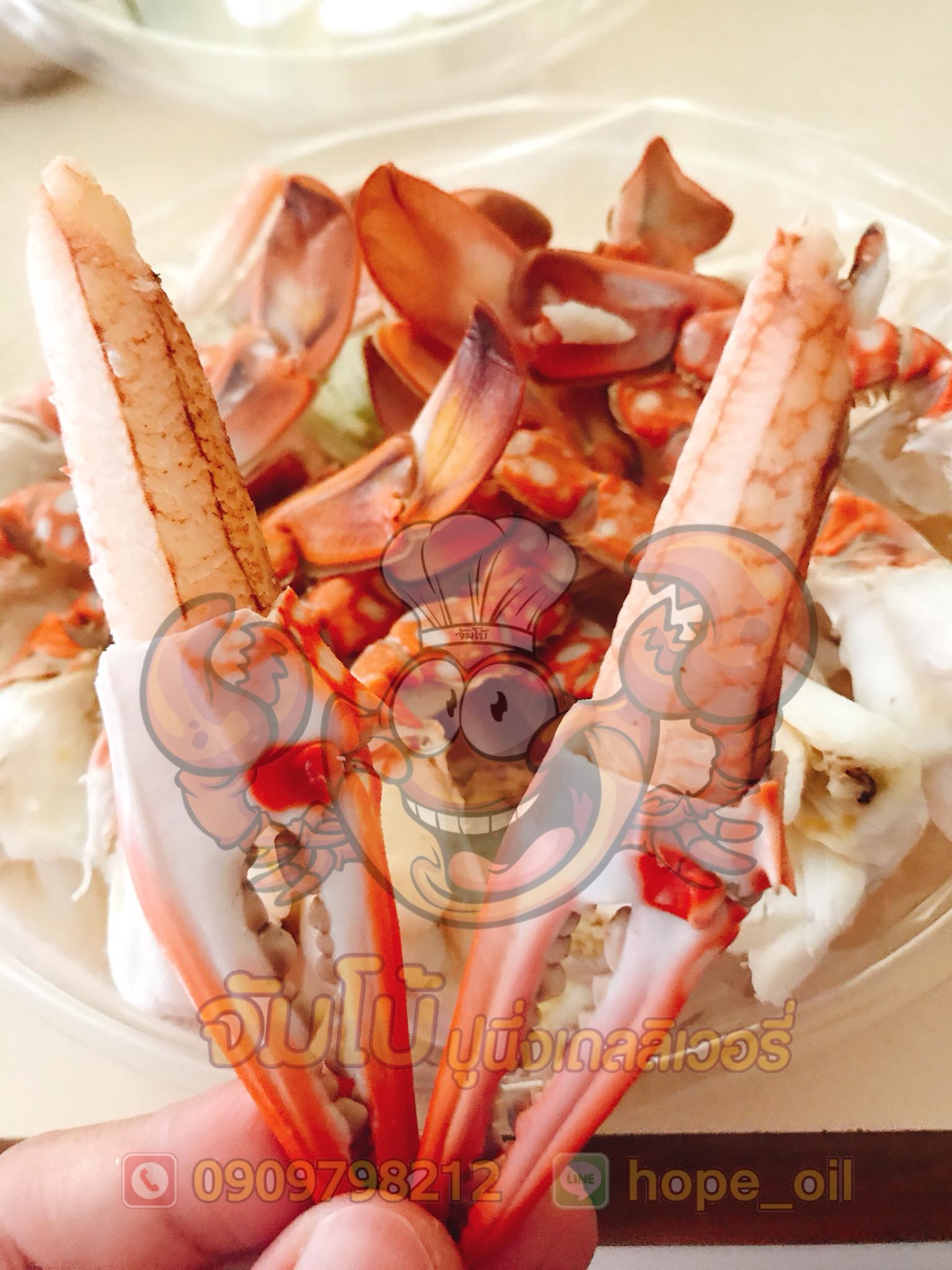 Mac Seafood - 🦀เนื้อแน่นๆ เน้นๆ เนื้อล้วนๆ ตัวโต เนื้อหวาน...