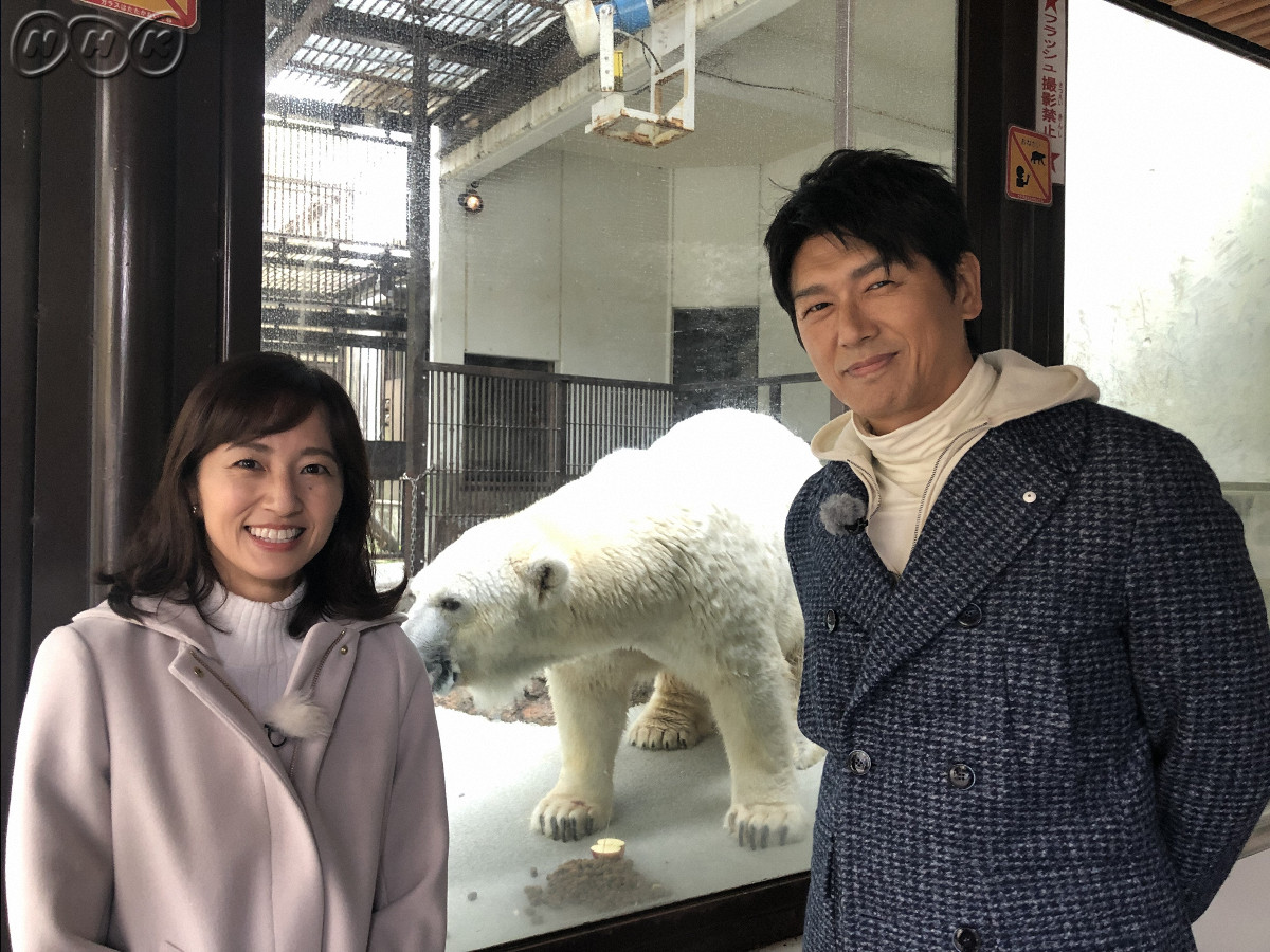 白熊 ピース 現在