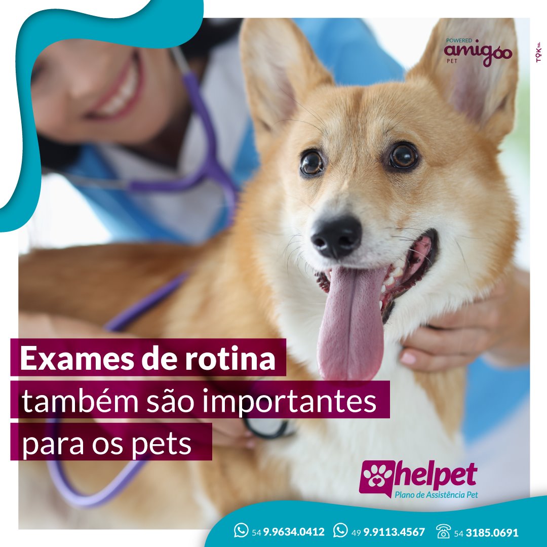 Helpet -Plano de Assitência PET - Você não precisa abrir mão da sua ...