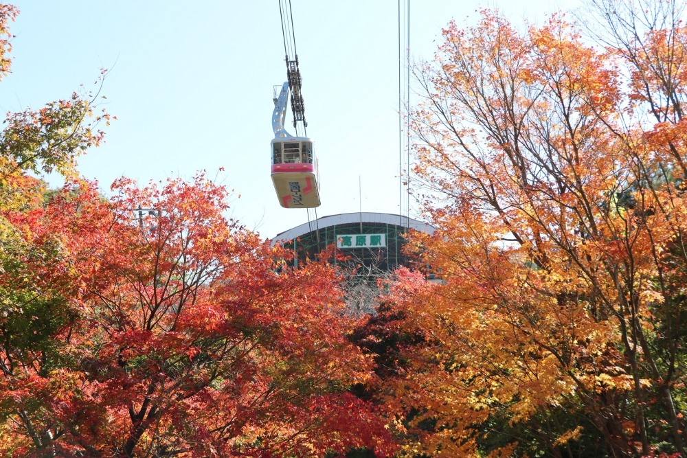 Beppu Ropeway... - Japan Discovery - คิวชู & ญี่ปุ่นตะวันตก