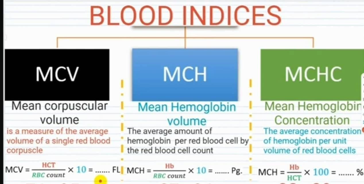 Hematology | What is the Picture | Facebook