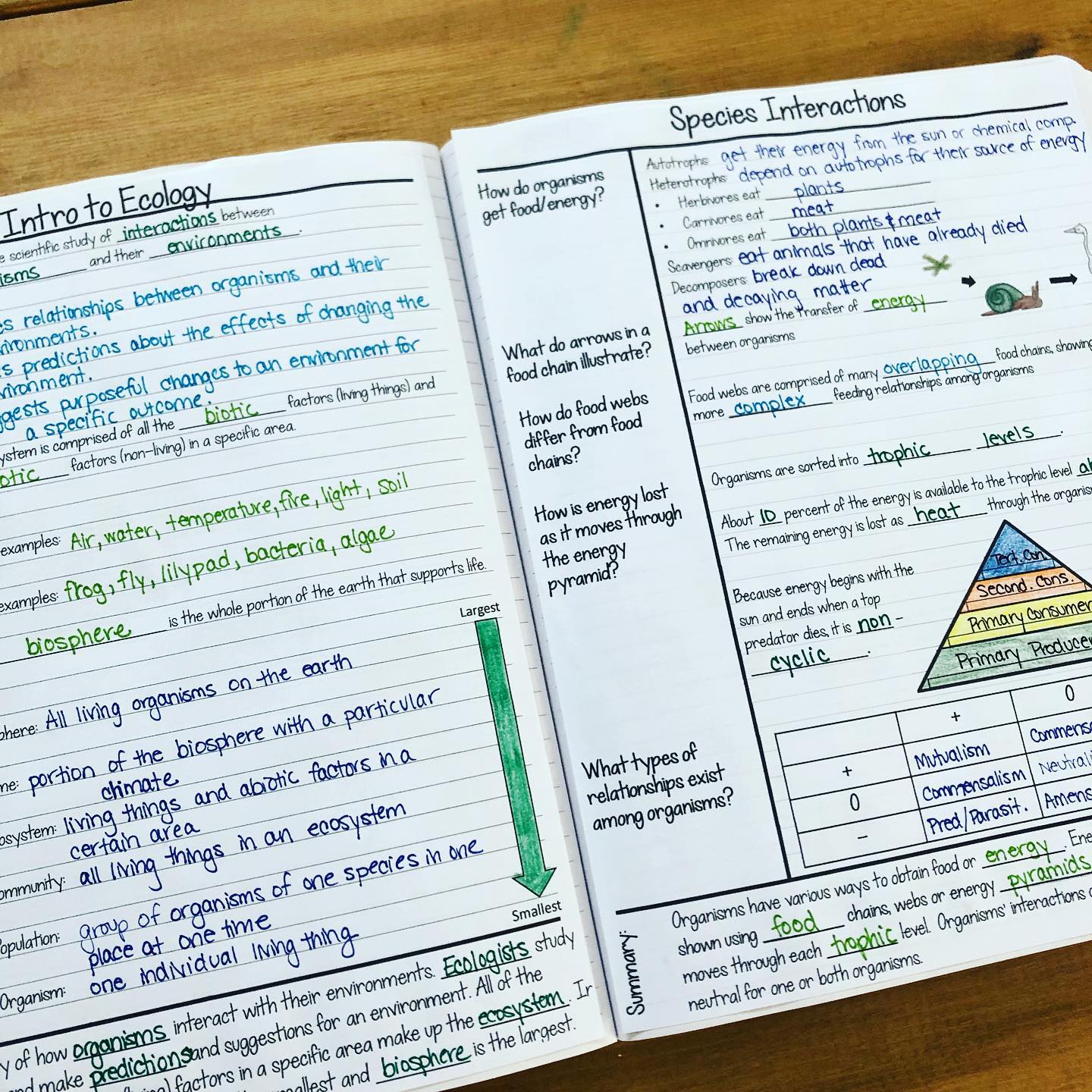The newest addition to my Biology... - Suburban Science | Facebook