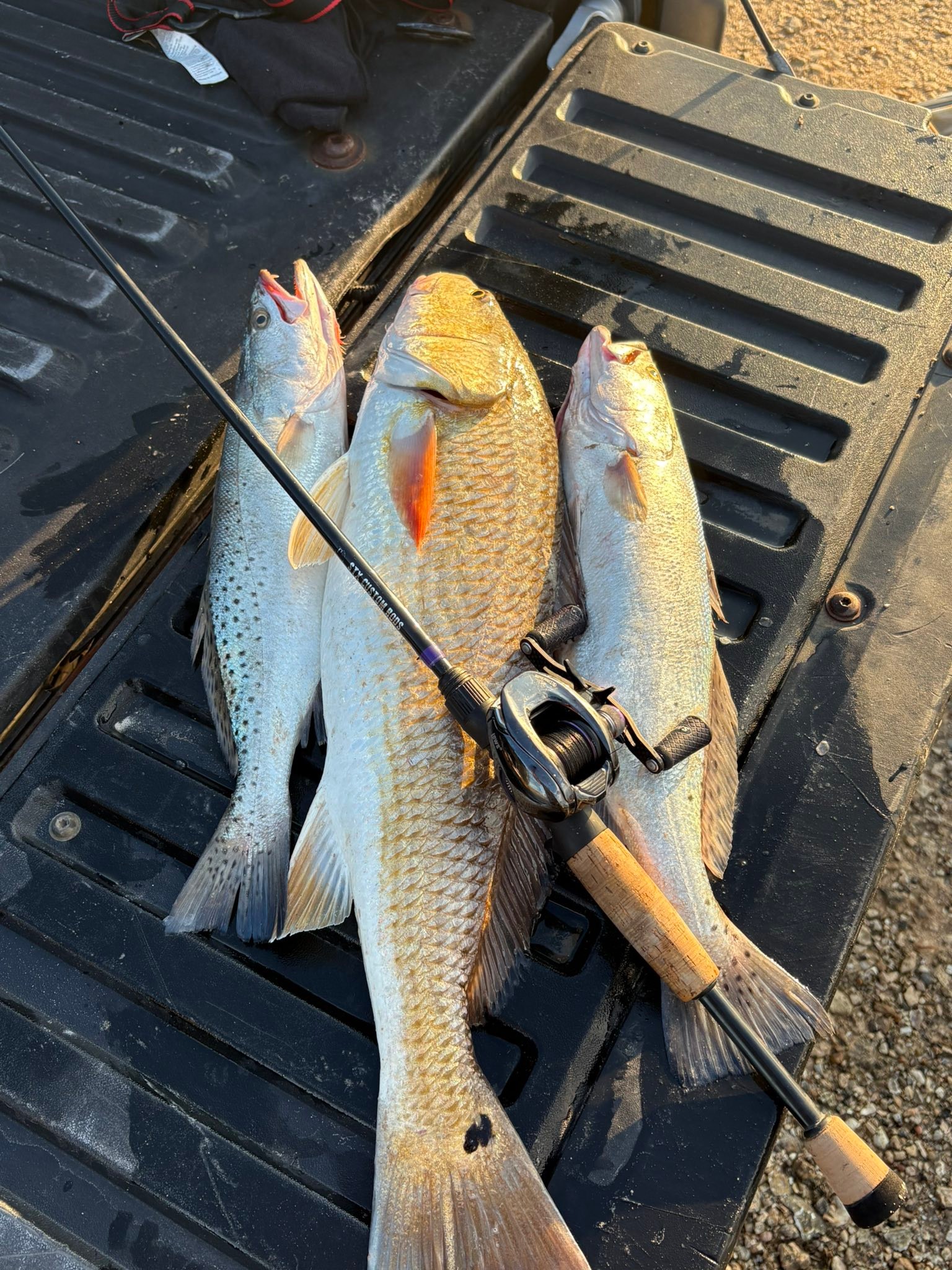 Had a good time breaking in the new kayak and my new STX custom rod ...