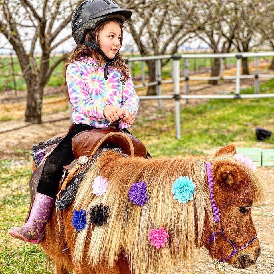 Daisy had so much fun attending... - Pocket Size Pony Rides | Facebook