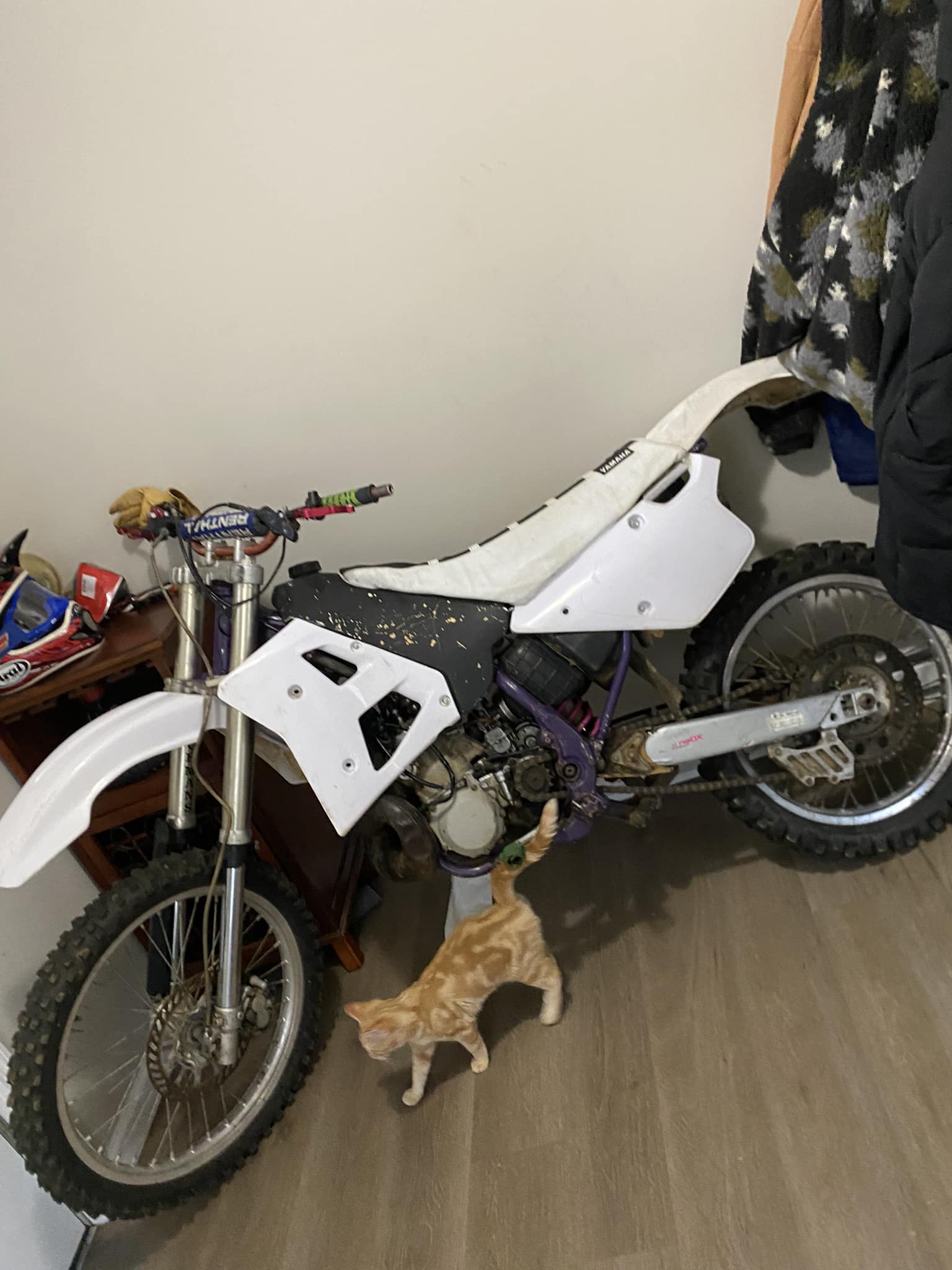 YZ250 2002 FORK SEALS & DUST SEAL MXPUK 2002 YZ 250 ALLBALLS YAMAHA