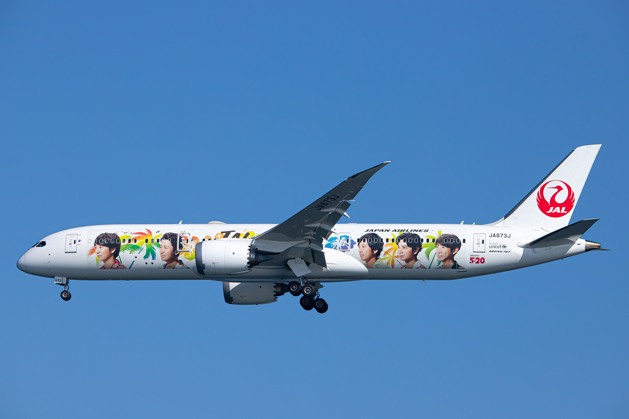 LikeJapan娛樂】日航ARASHI特別彩繪飛機「ARASHI HAWAII JET」 日航JAL