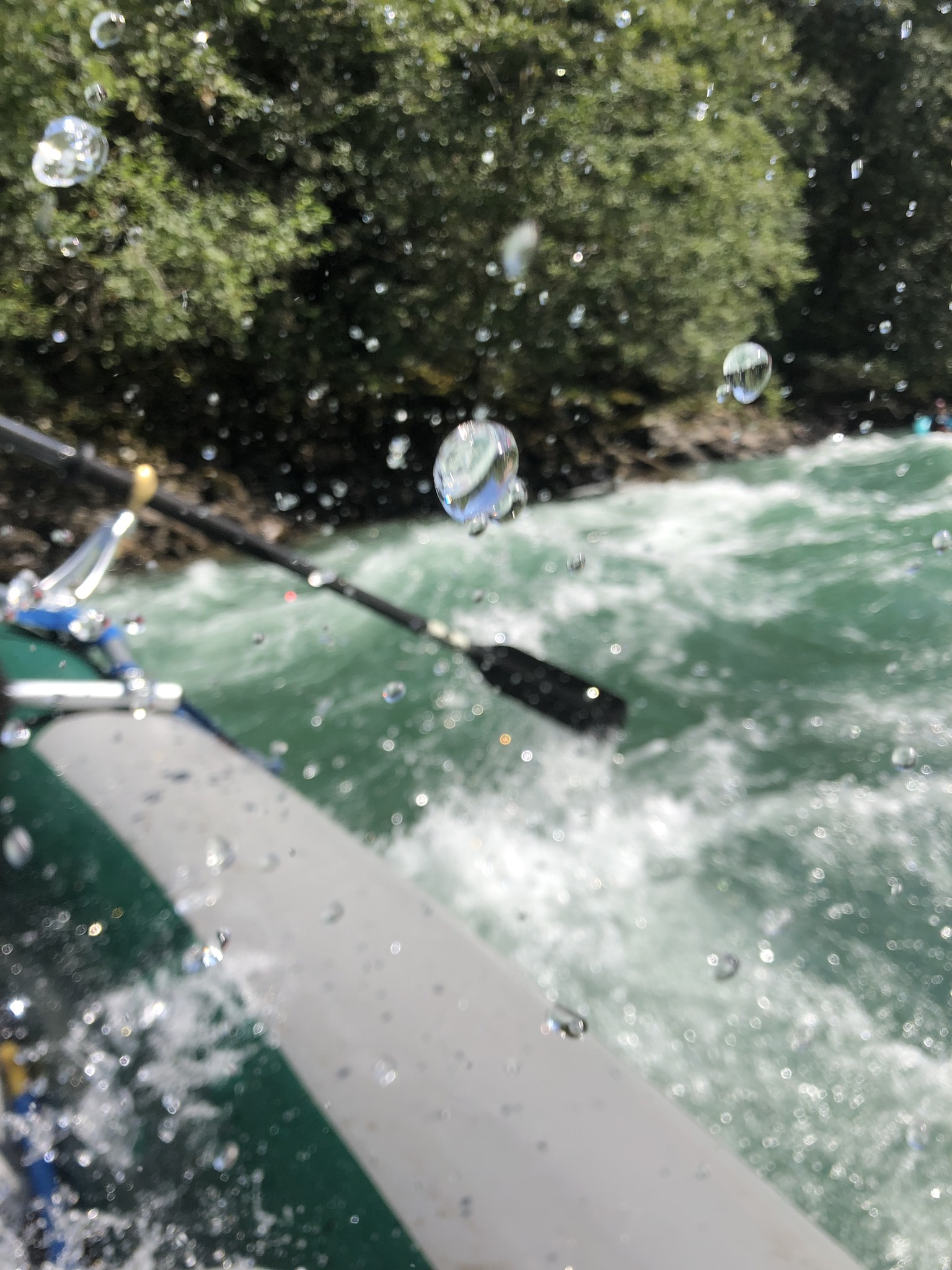 Cascadia Rafting | Marblemount WA