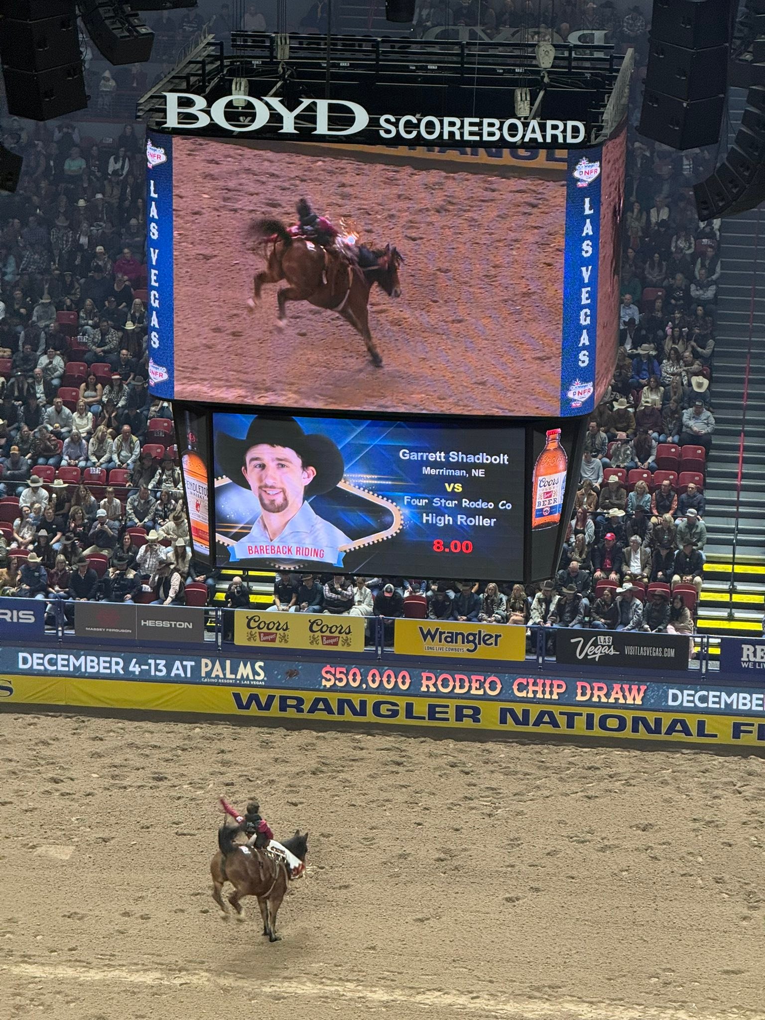 Hannah Crews - Las Vegas for NFR was an absolute dream ... | Facebook